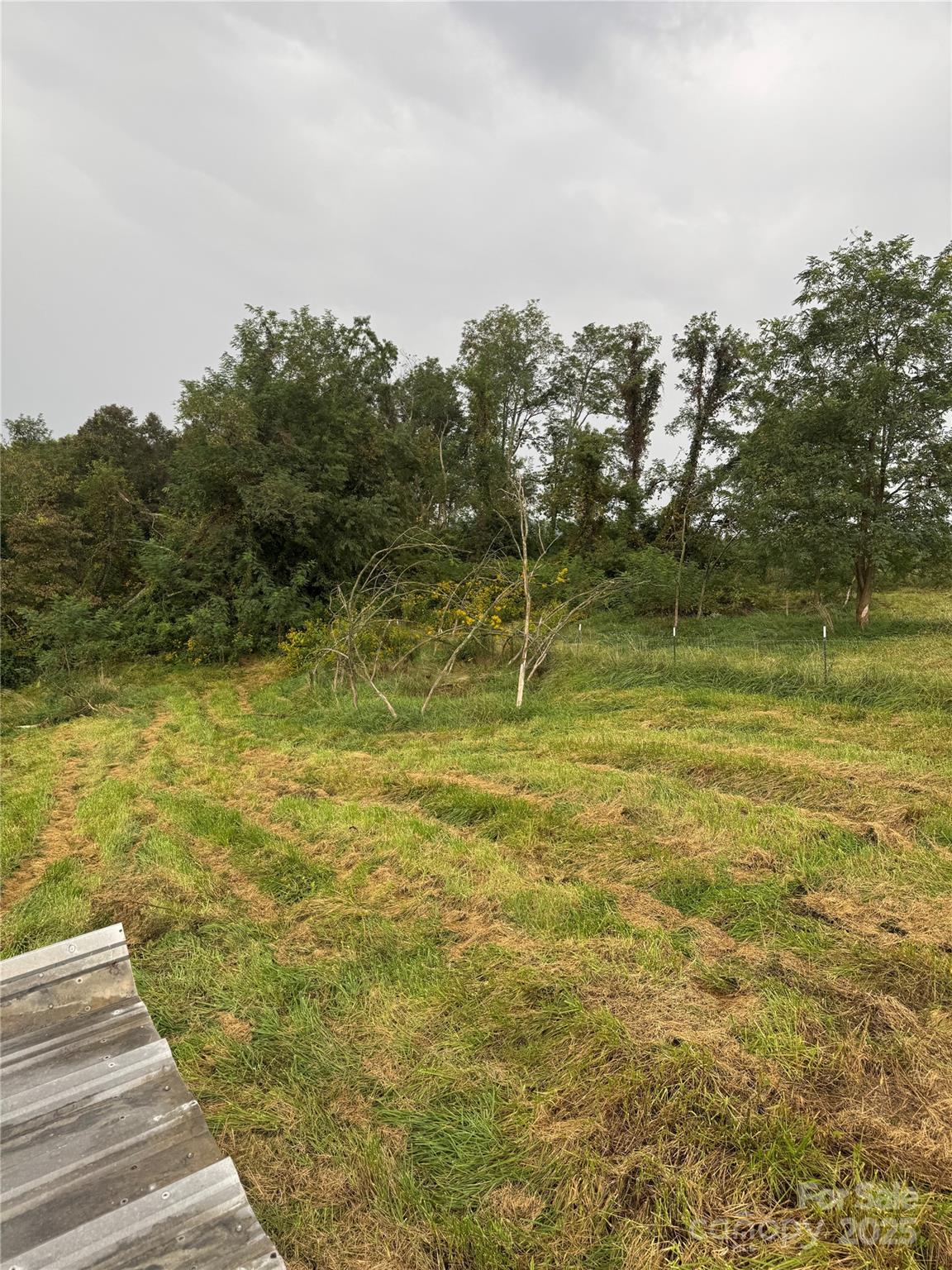 000 Bobs Road Property Photo 5