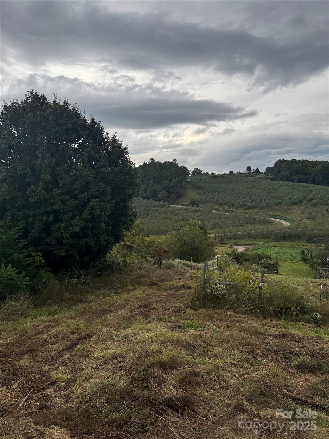 000 Bobs Road Property Photo 6