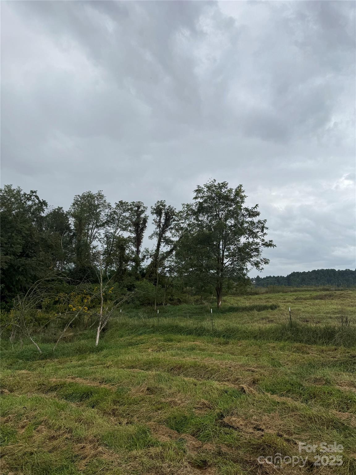 000 Bobs Road Property Photo 13