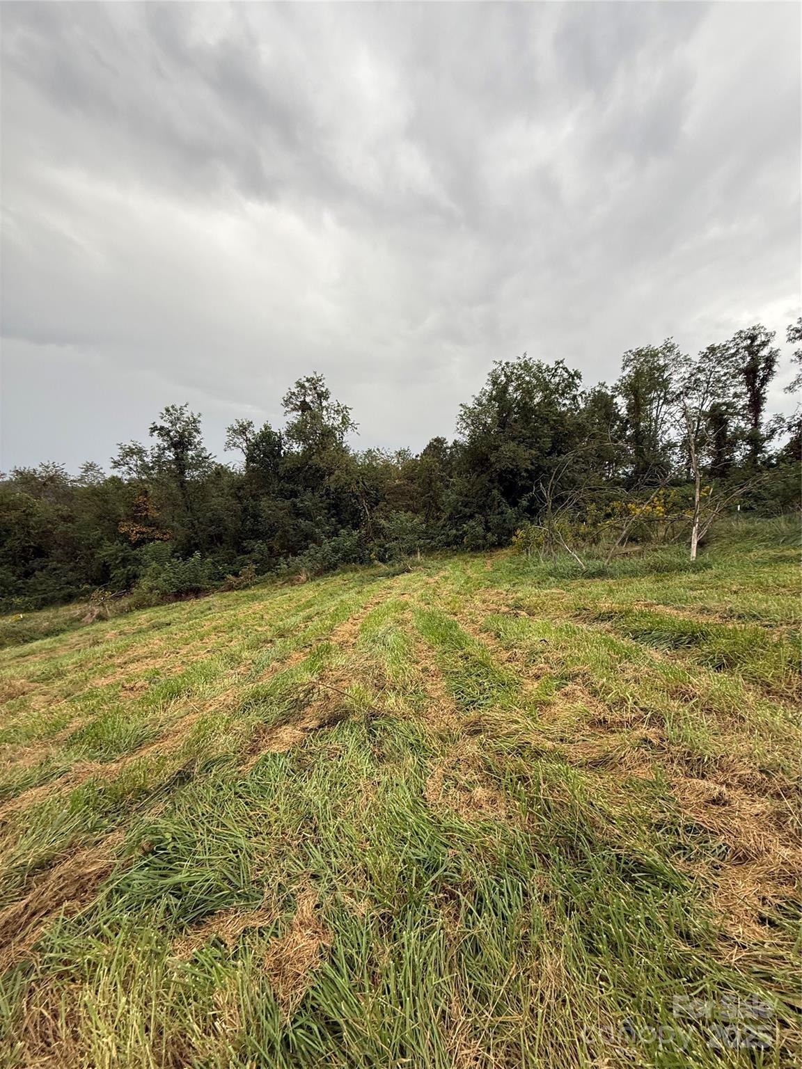 000 Bobs Road Property Photo 20