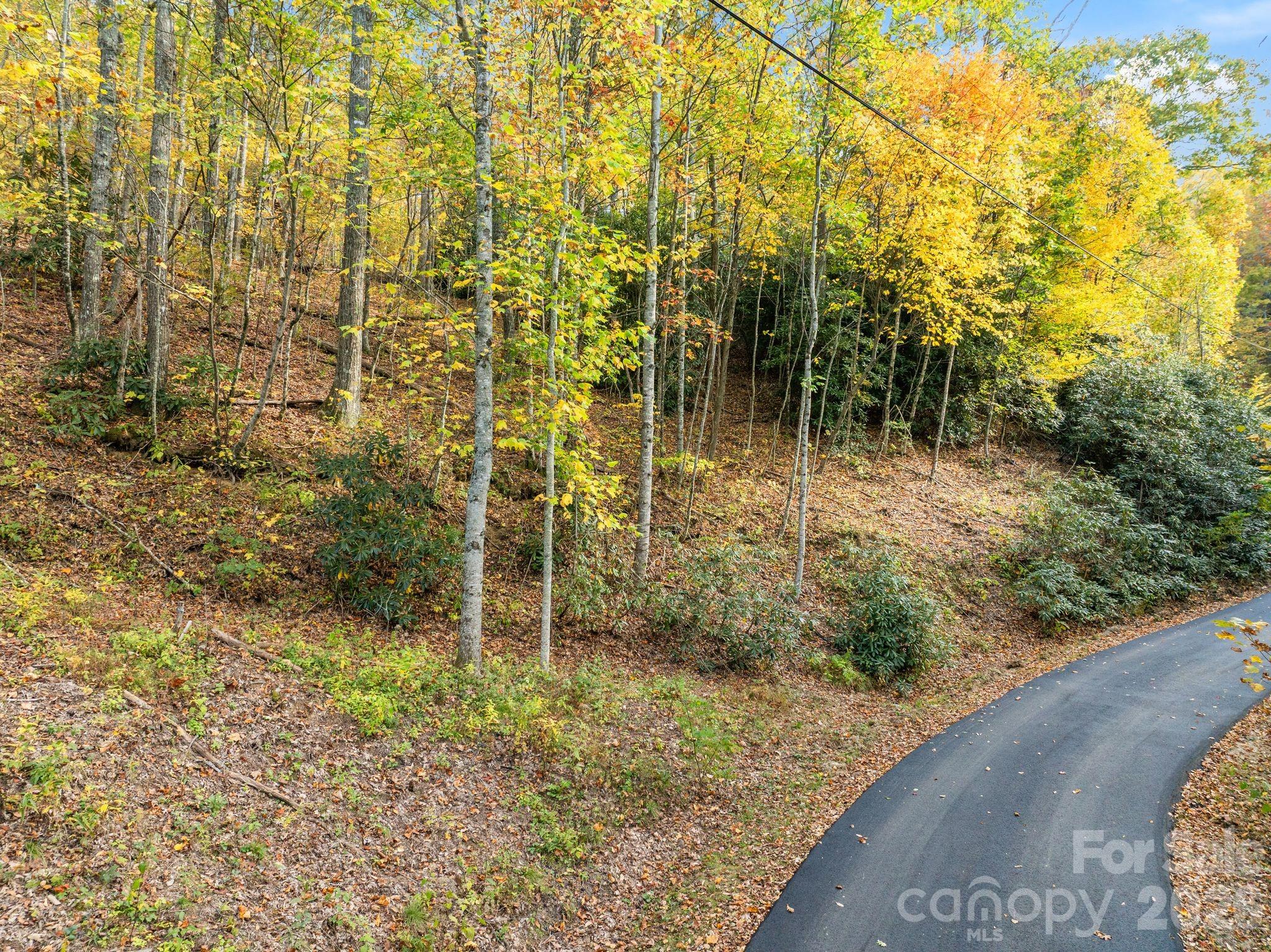 99999 Lytle Cove Road Property Photo 11