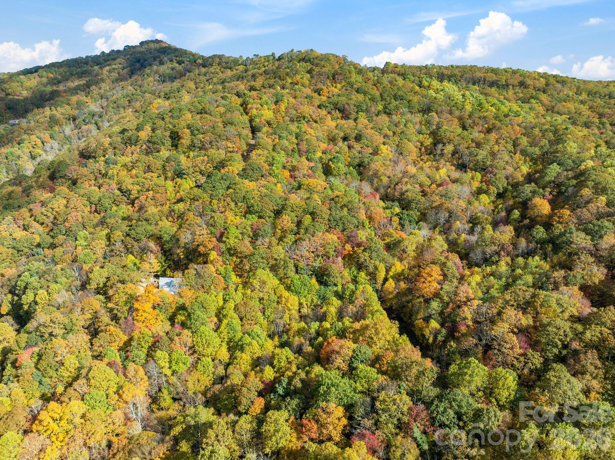99999 Lytle Cove Road Property Photo 17