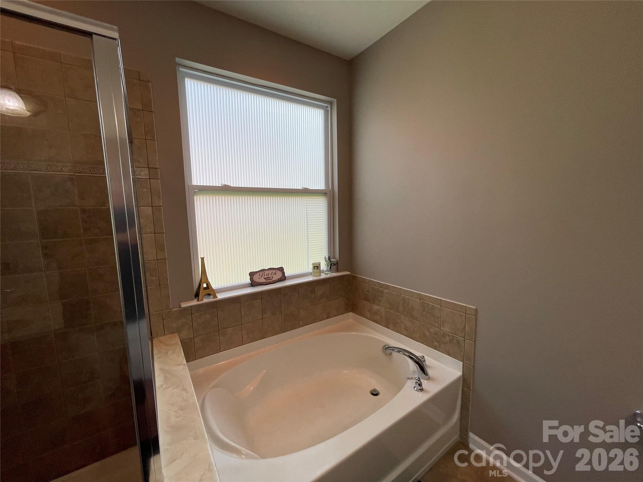 308 Tall Wheat Lane Property Photo 20