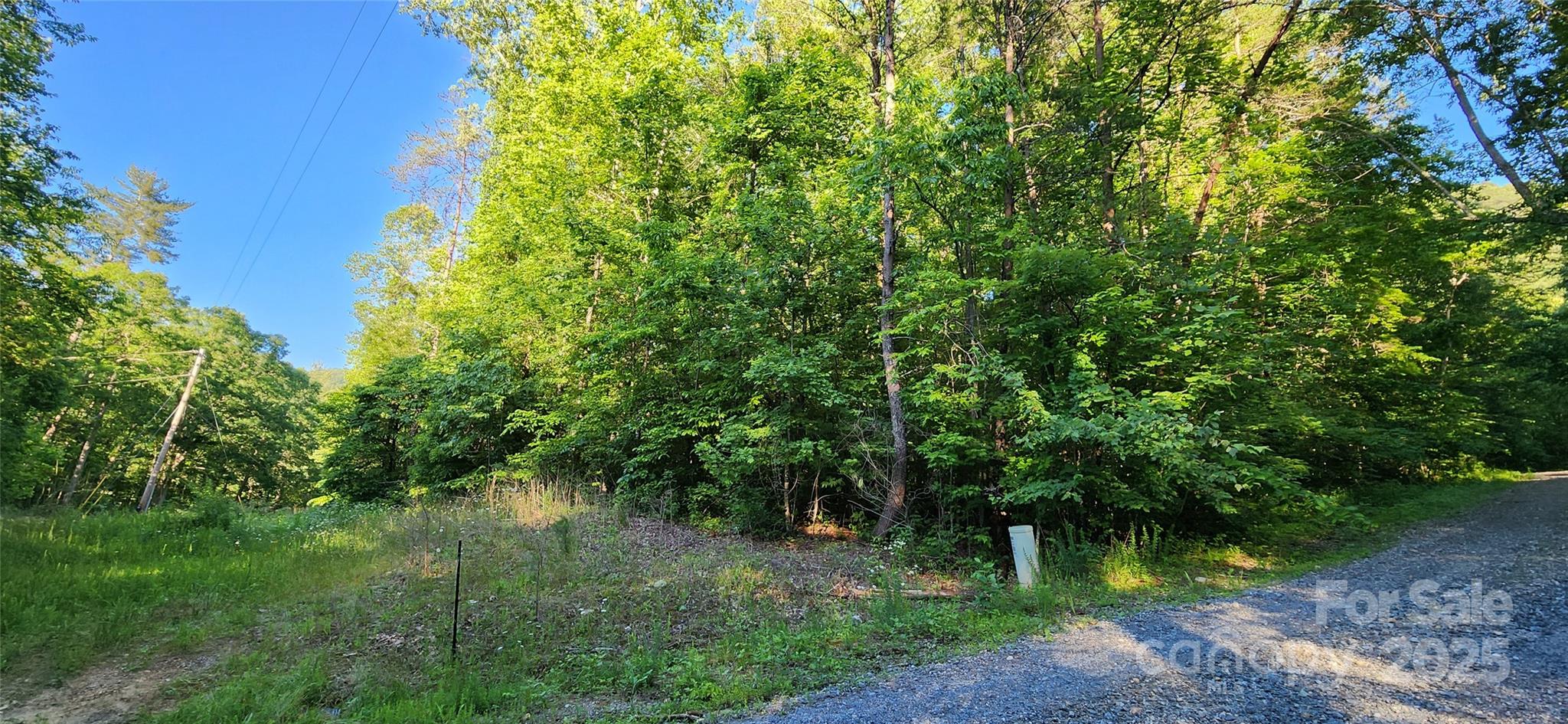 0 Buffalo Creek Road 74 Property Photo 4