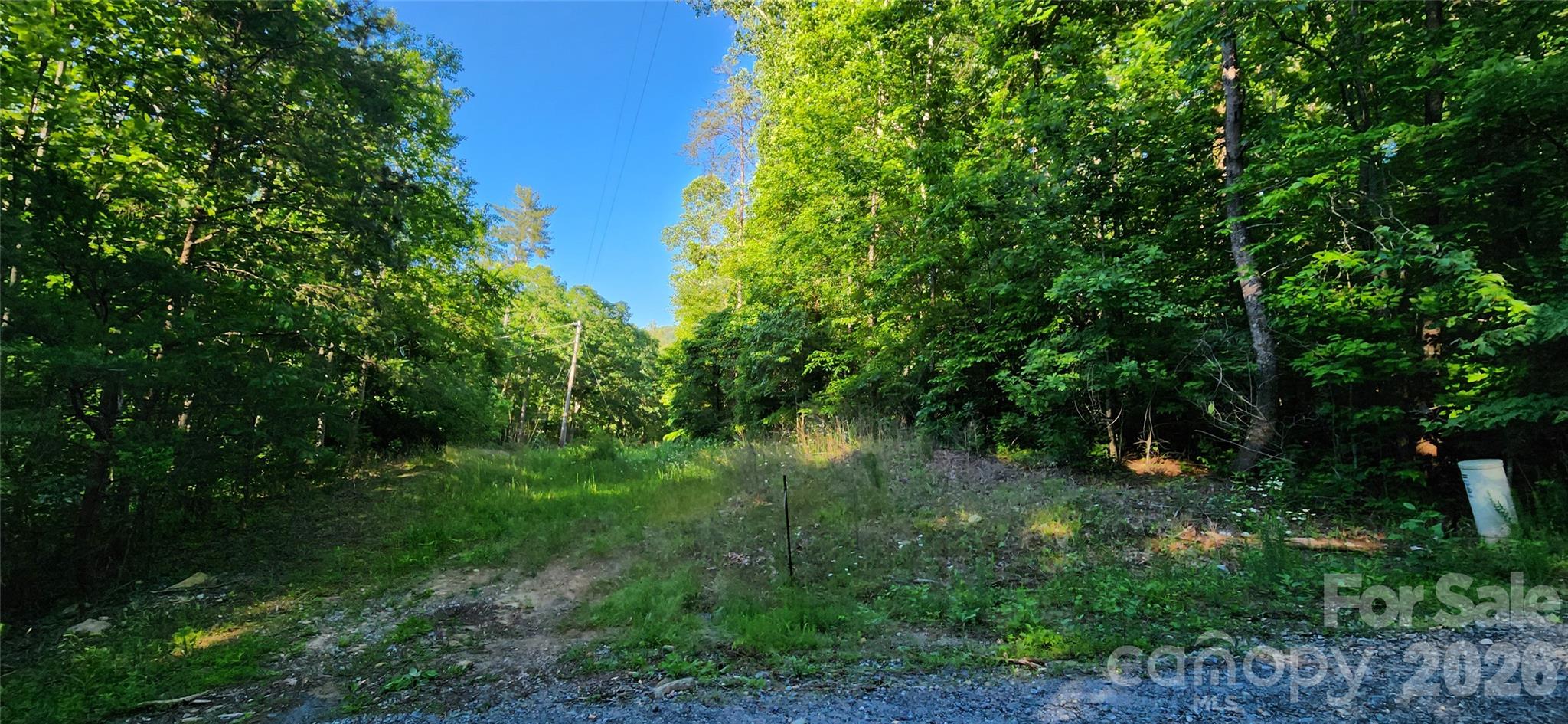 0 Buffalo Creek Road 74 Property Photo 4