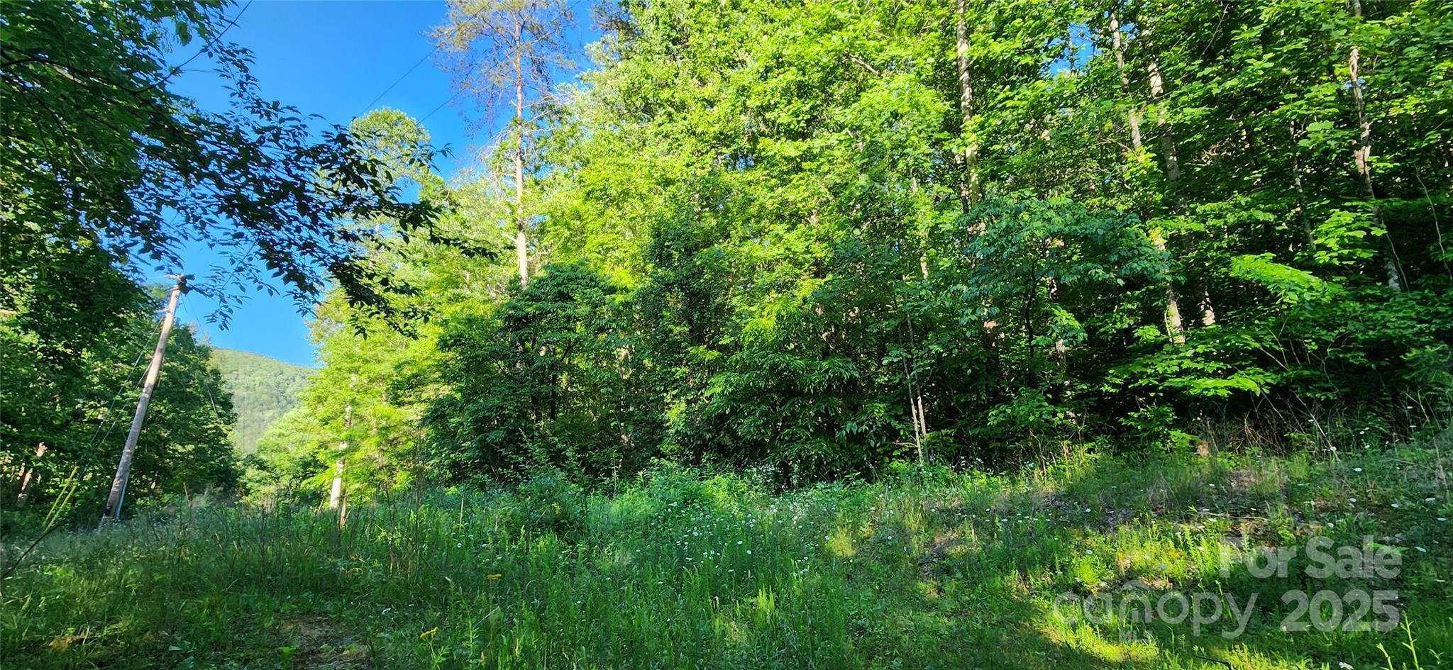 0 Buffalo Creek Road 74 Property Photo 5