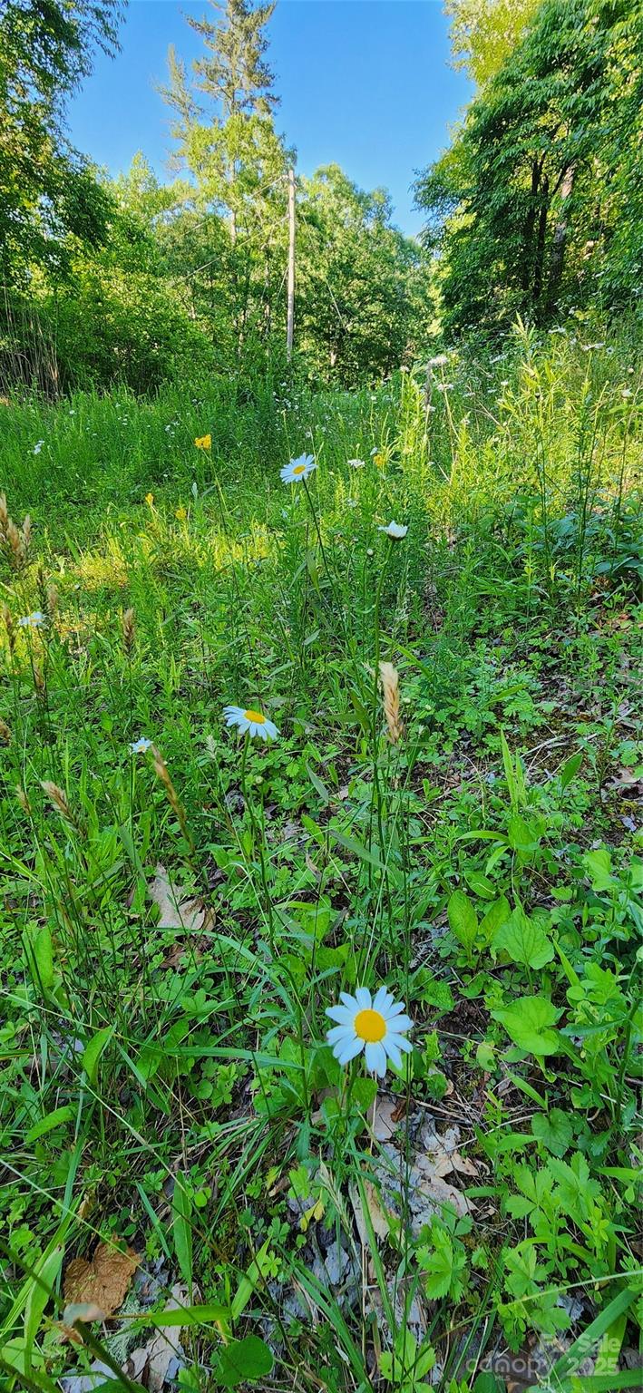 0 Buffalo Creek Road 74 Property Photo 6