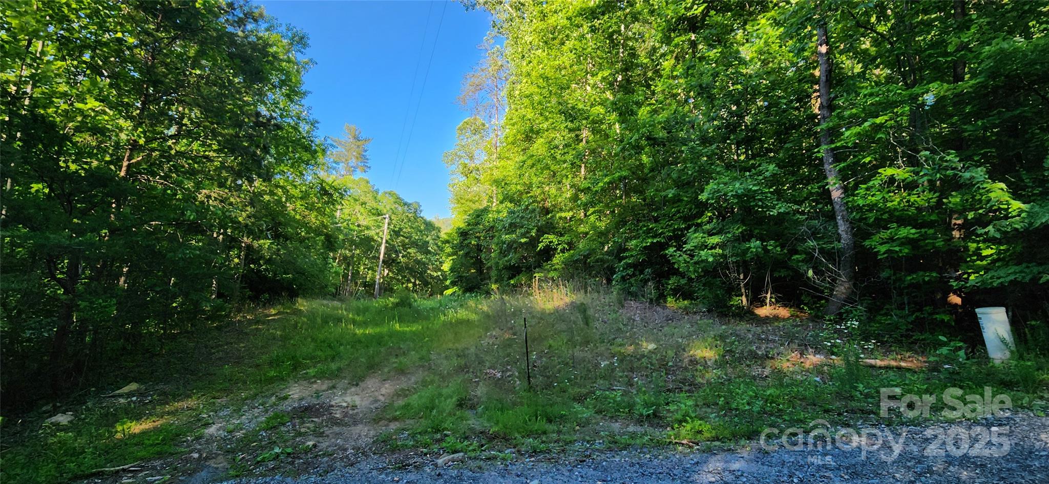 0 Buffalo Creek Road 74 Property Photo 8