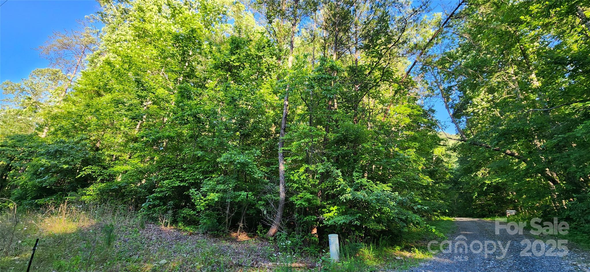 0 Buffalo Creek Road 74 Property Photo 9