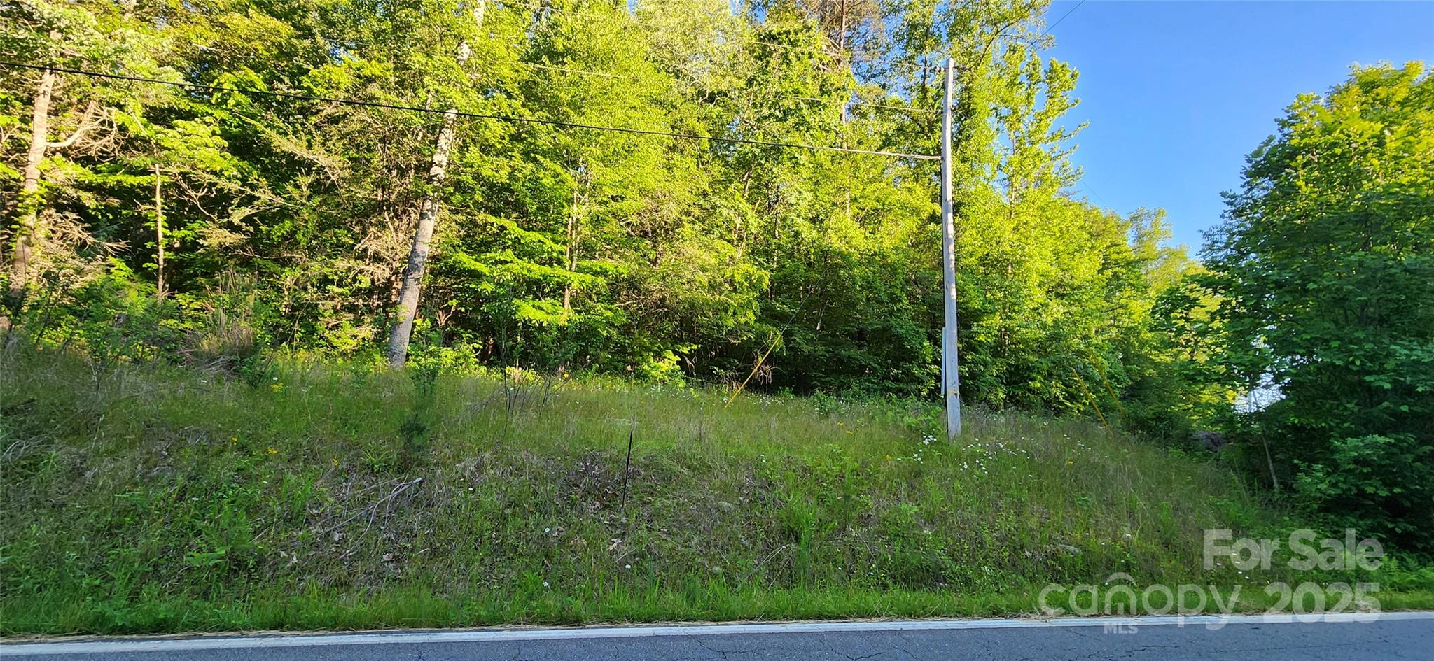 0 Buffalo Creek Road 74 Property Photo 12