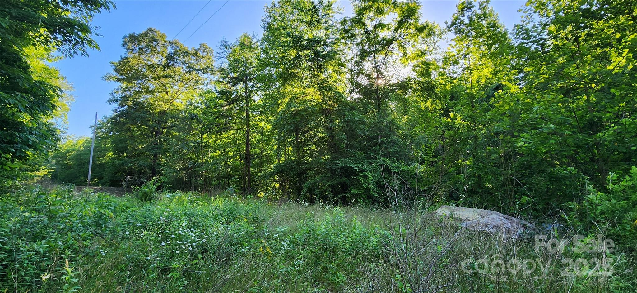 0 Buffalo Creek Road 74 Property Photo 13