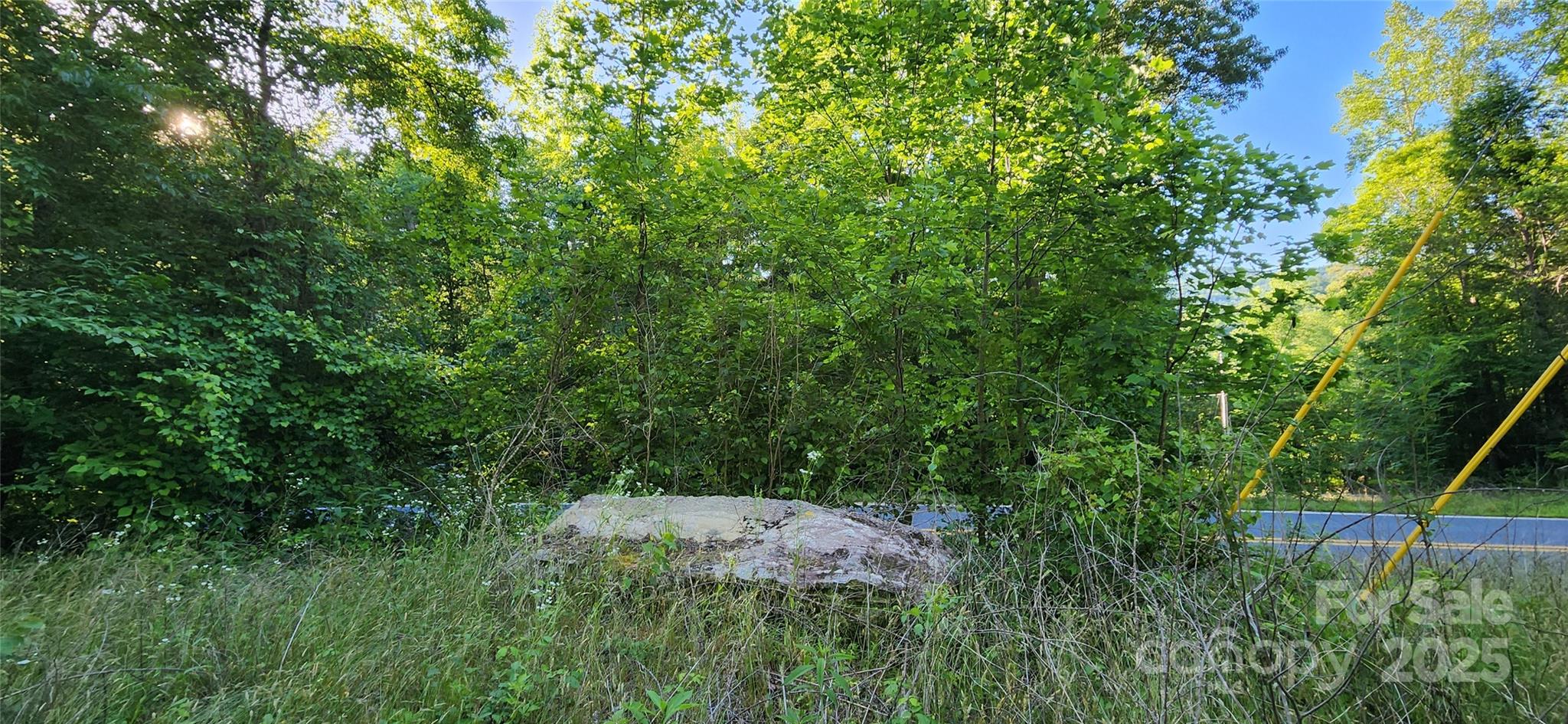 0 Buffalo Creek Road 74 Property Photo 15