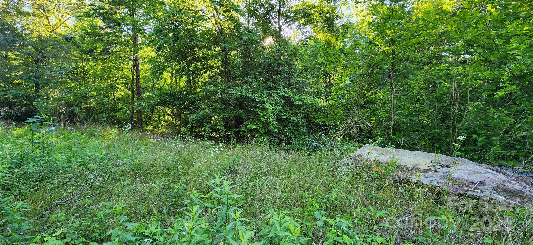 0 Buffalo Creek Road 74 Property Photo 16