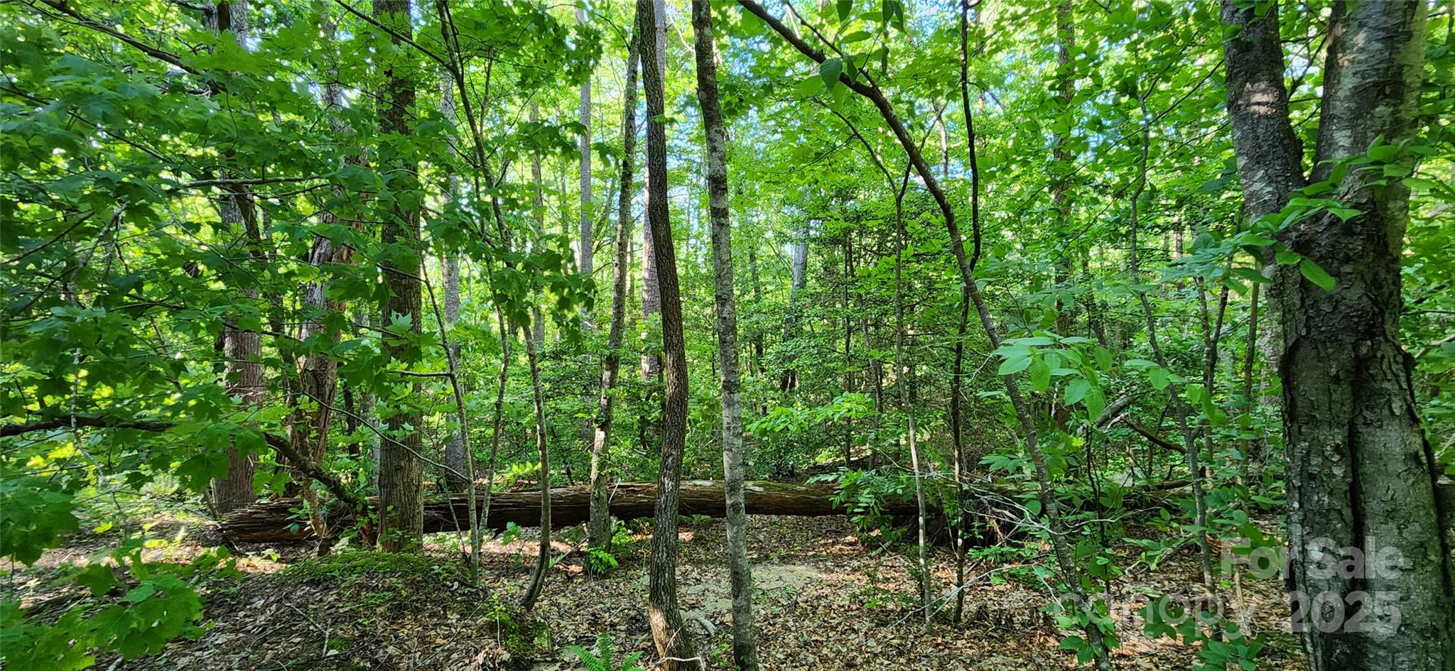 0 Buffalo Creek Road 74 Property Photo 18