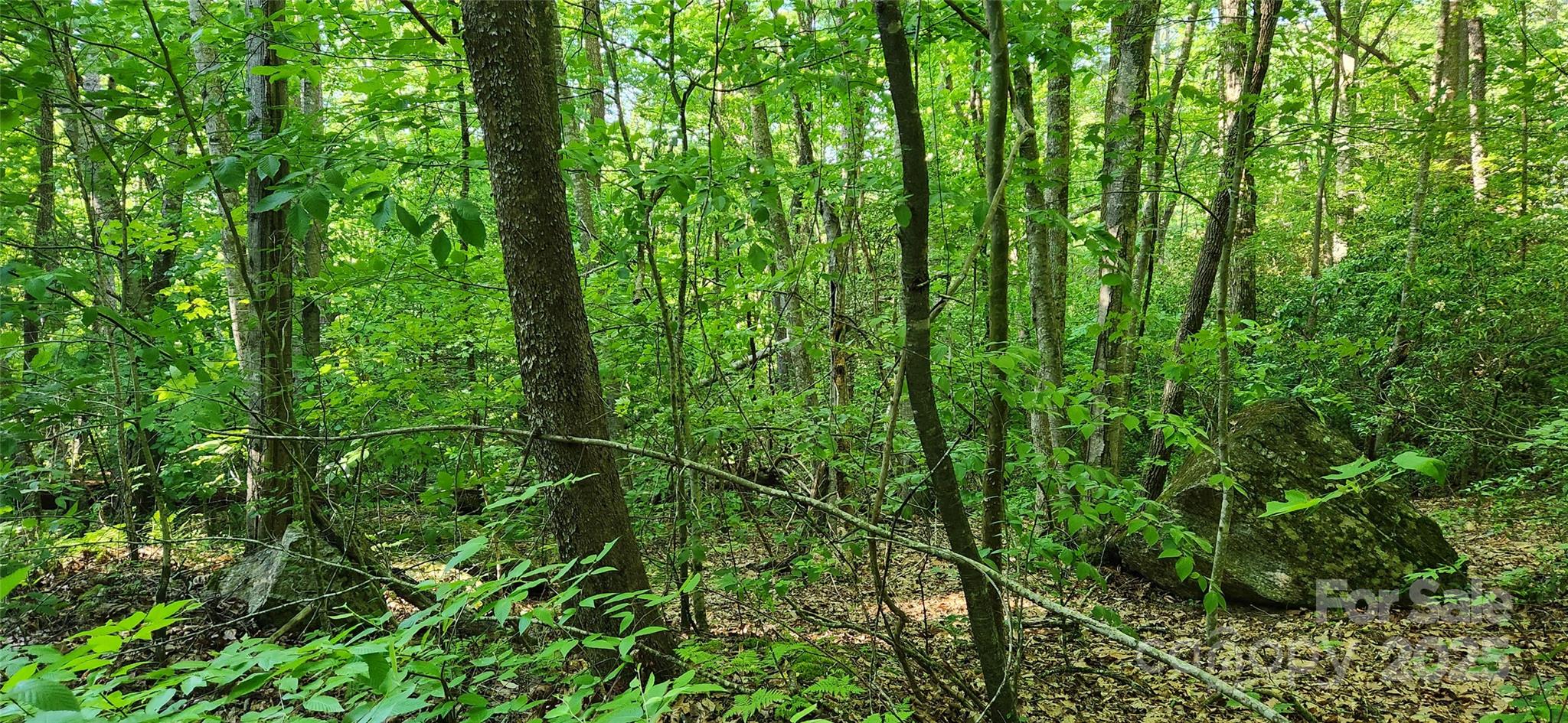 0 Buffalo Creek Road 74 Property Photo 20