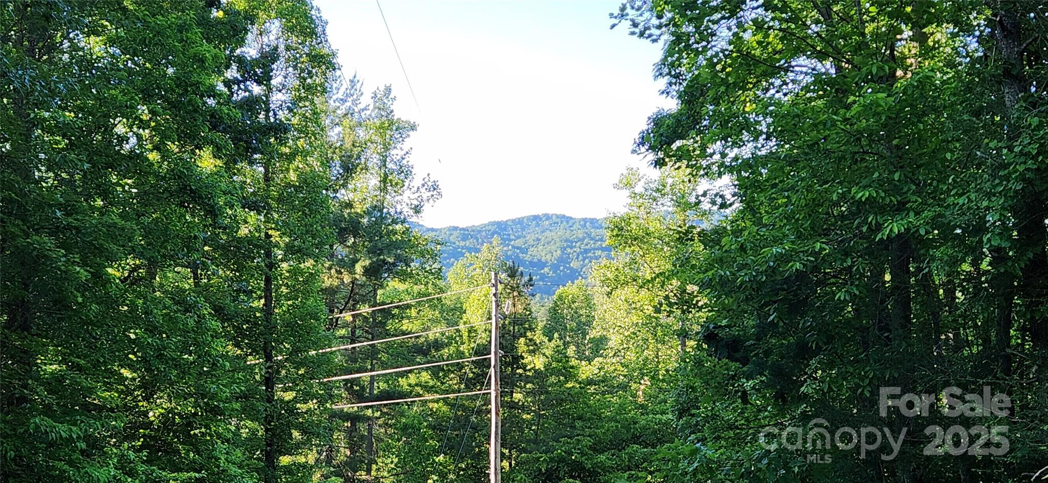 0 Buffalo Creek Road 74 Property Photo 21