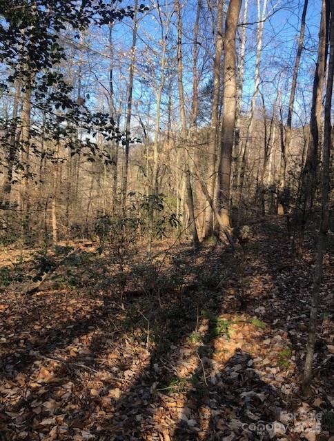 0 Buffalo Creek Road 74 Property Photo 27