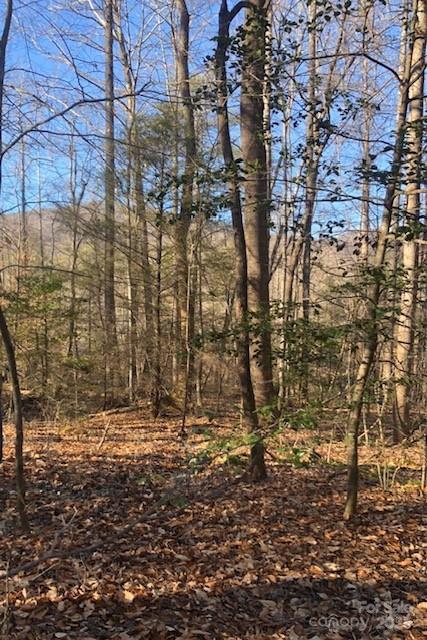 0 Buffalo Creek Road 74 Property Photo 28