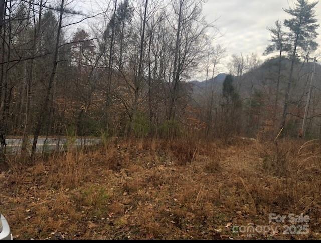 0 Buffalo Creek Road 74 Property Photo 29