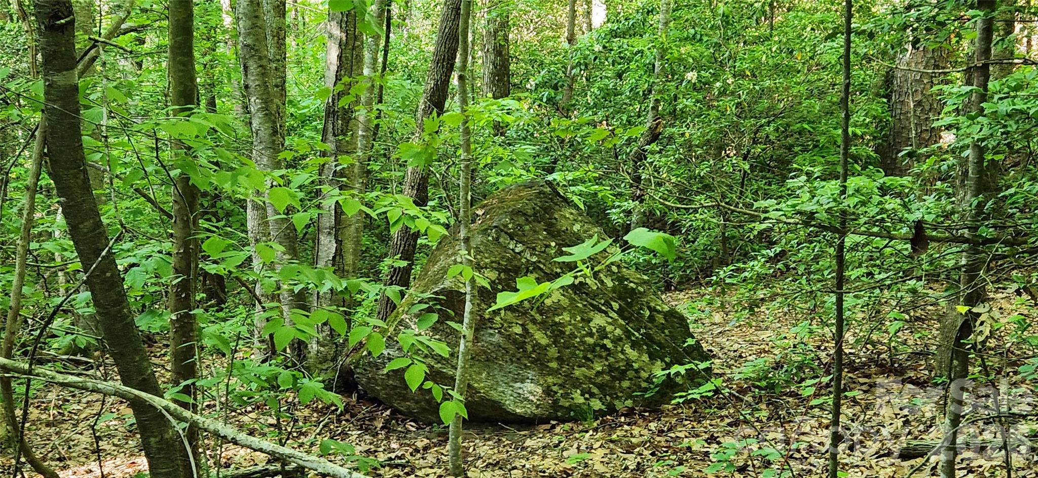 0 Buffalo Creek Road 74 Property Photo 36