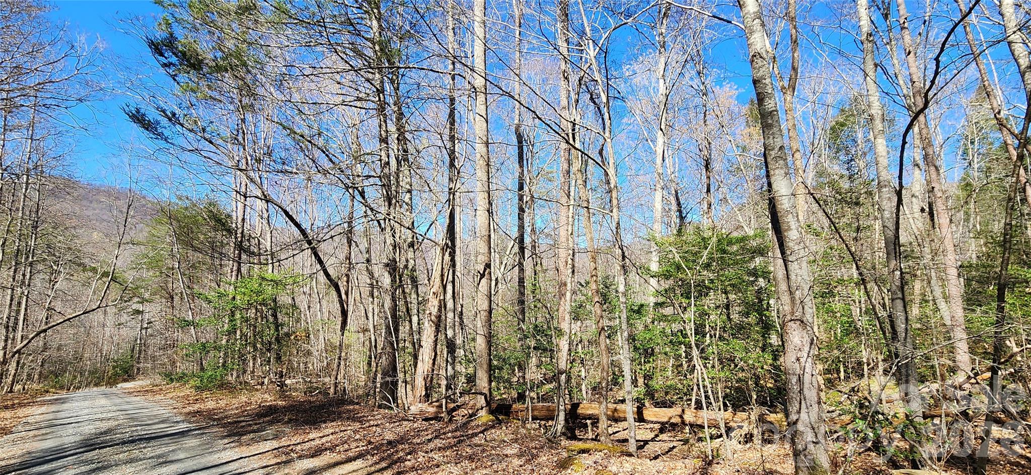 0 Buffalo Creek Road 74 Property Photo 40