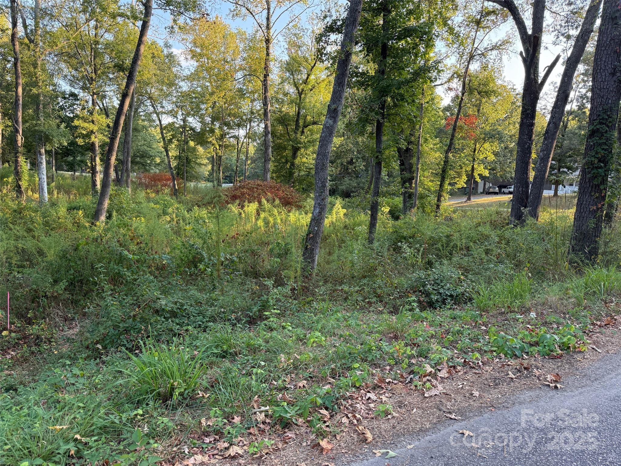 00 Whispering Pines Drive 31 Property Photo 1