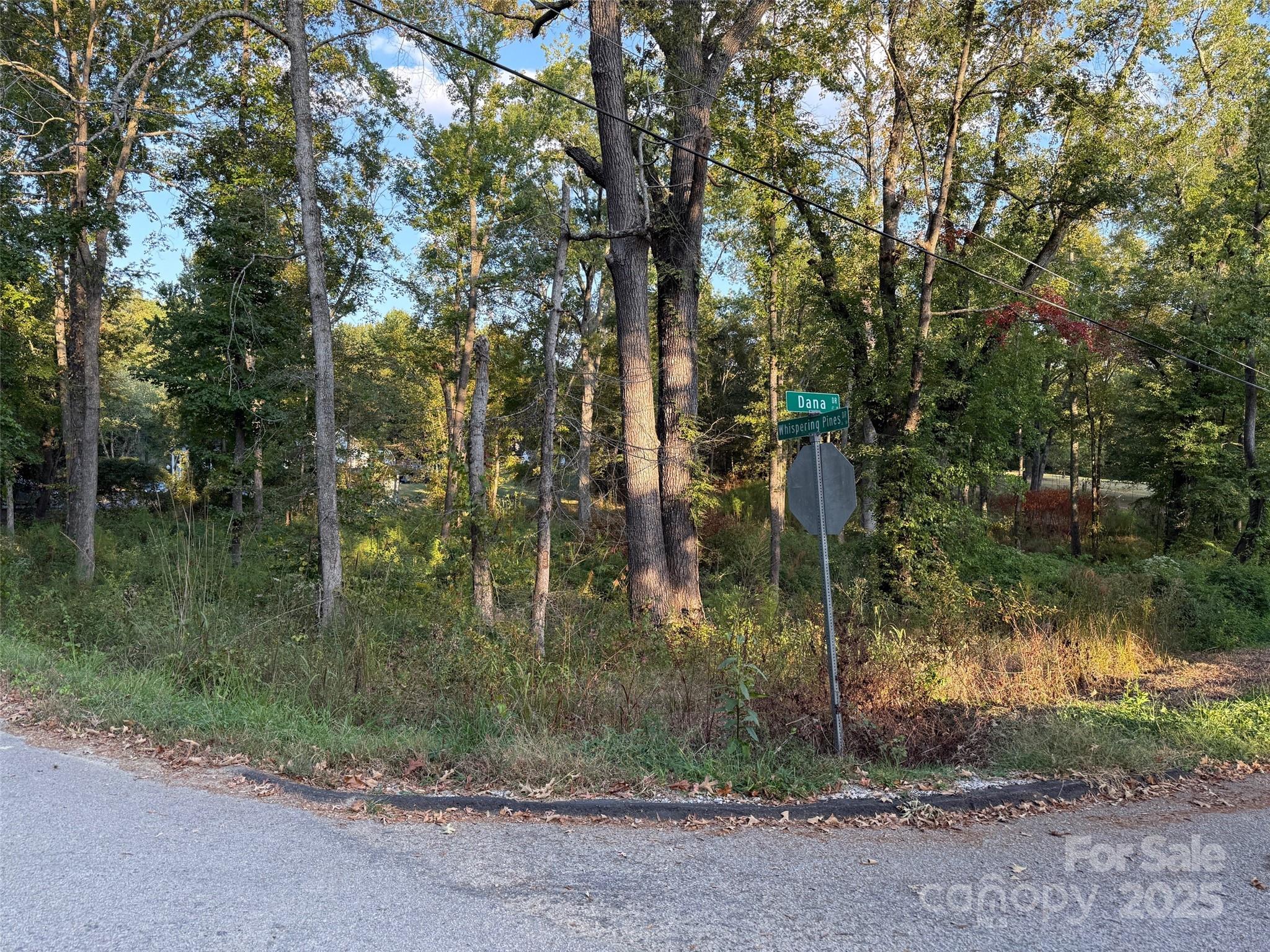 00 Whispering Pines Drive 31 Property Photo 2