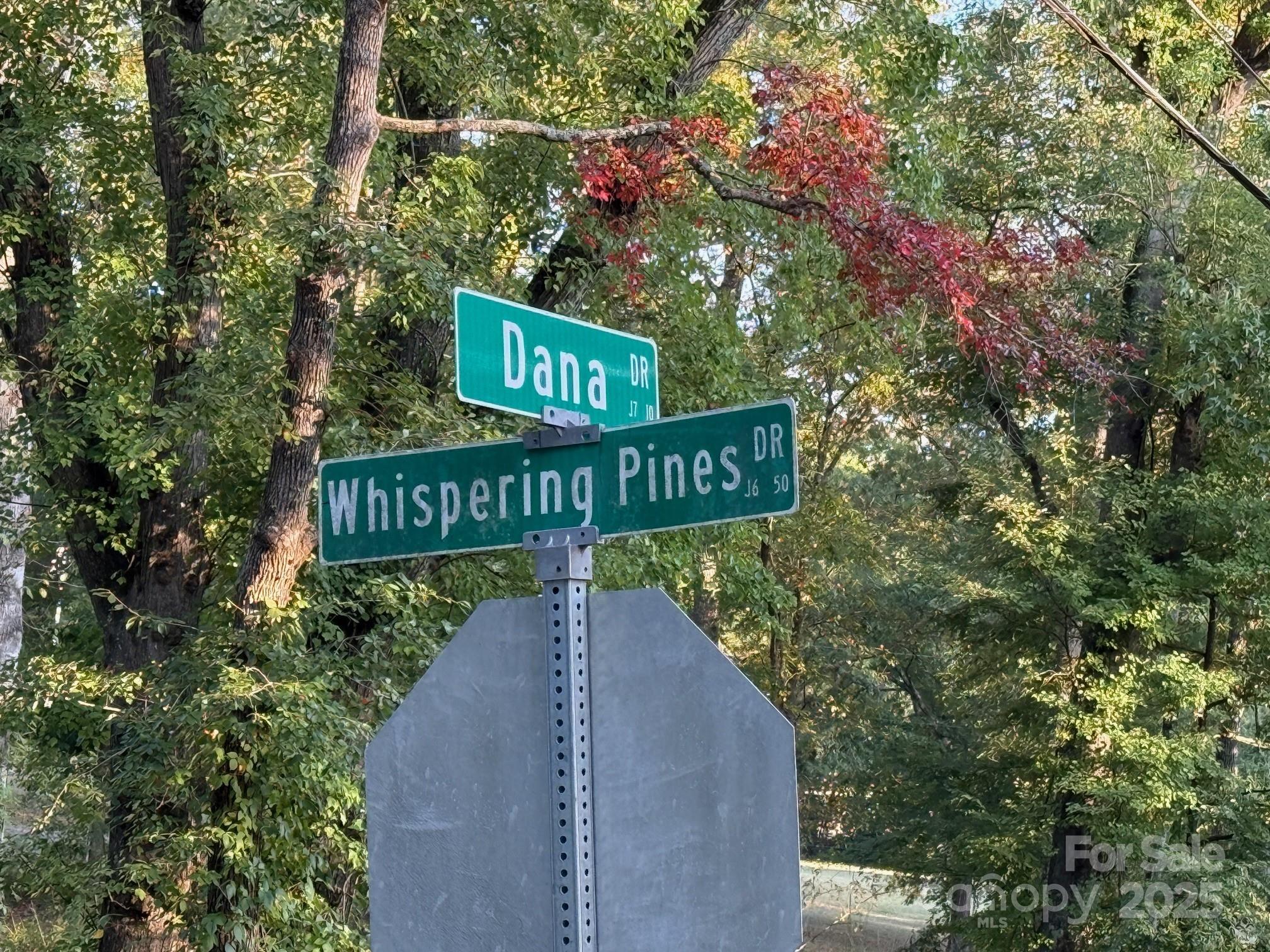 00 Whispering Pines Drive 31 Property Photo 3