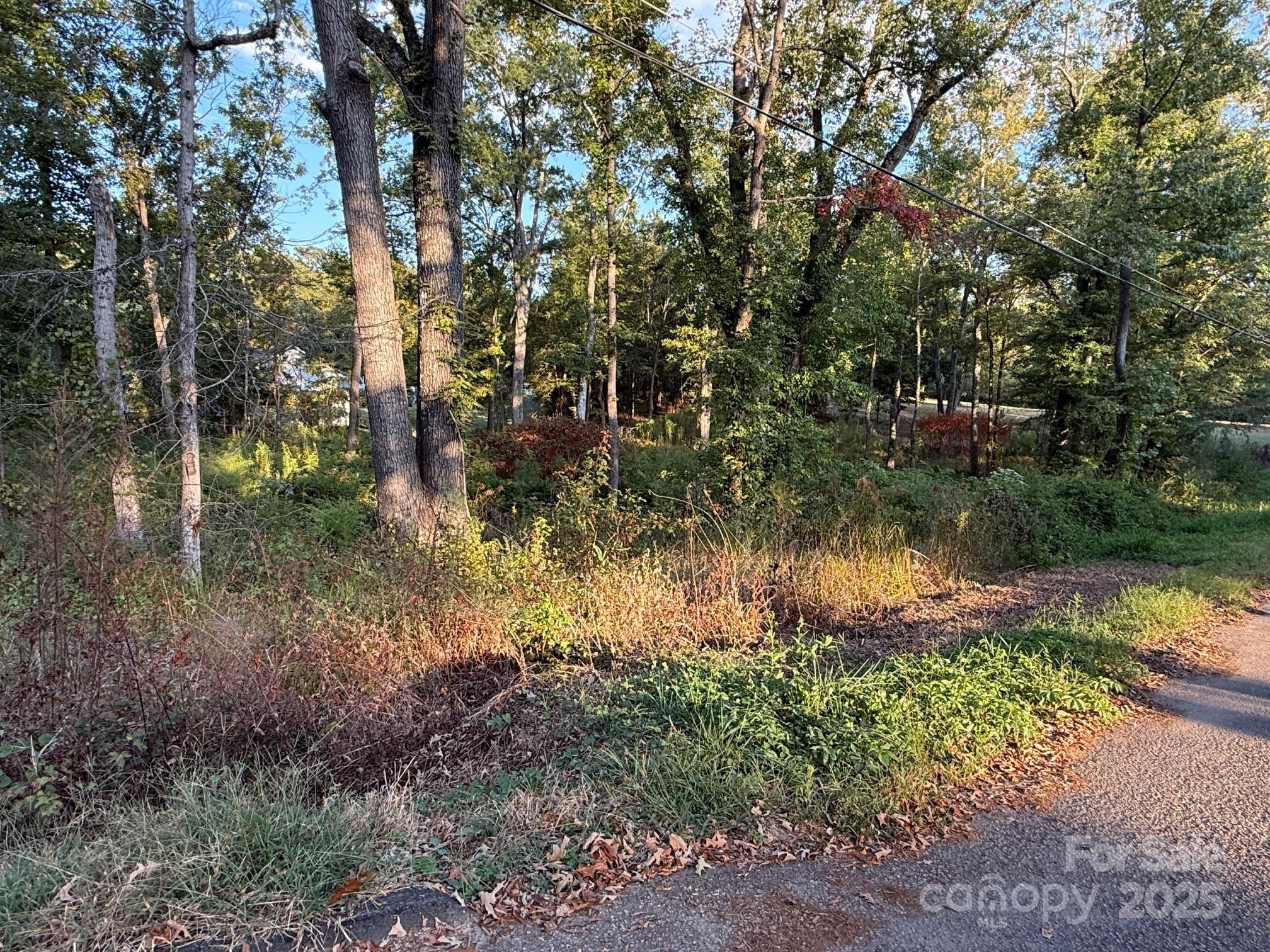 00 Whispering Pines Drive 31 Property Photo 4