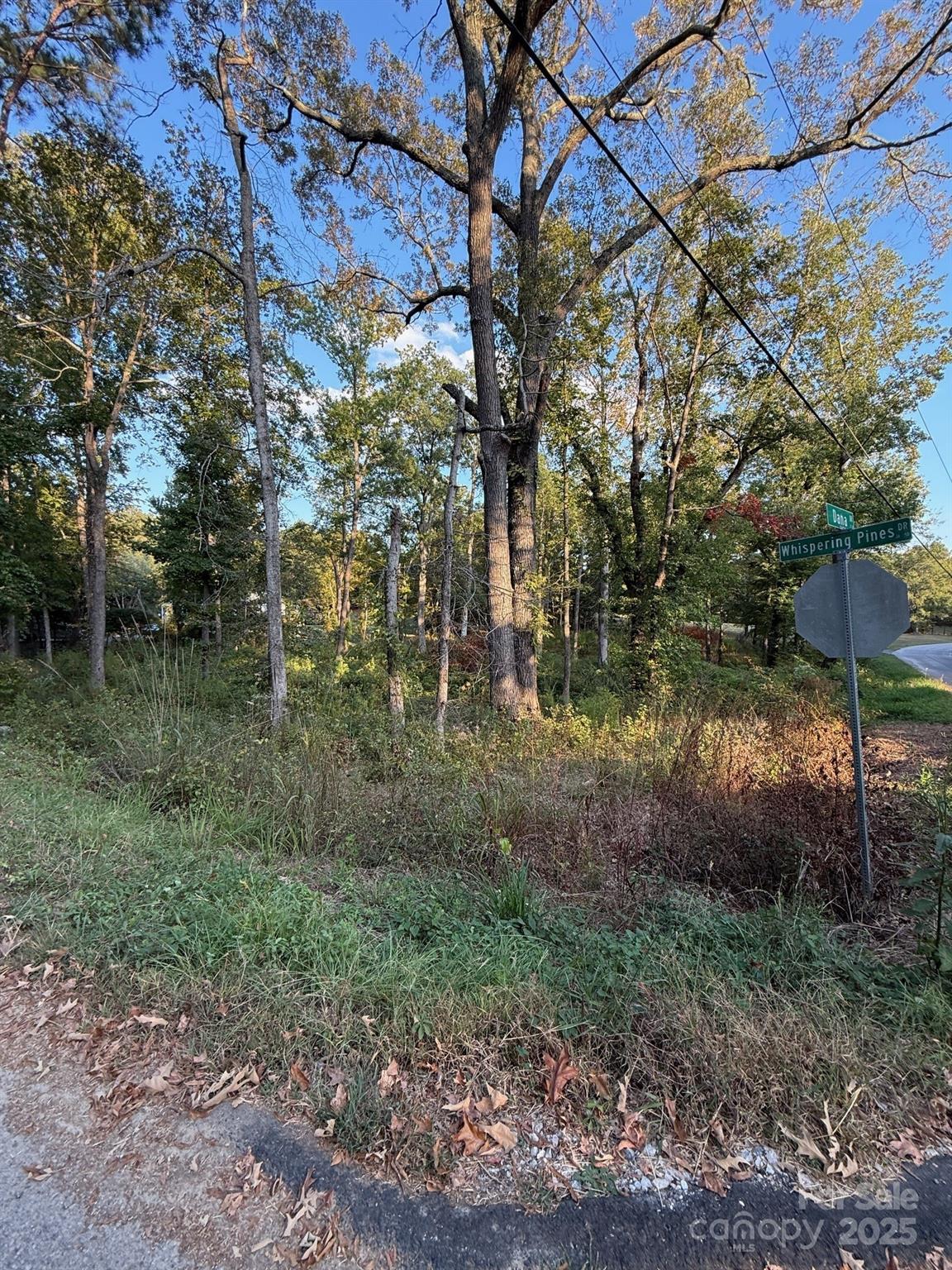 00 Whispering Pines Drive 31 Property Photo 6