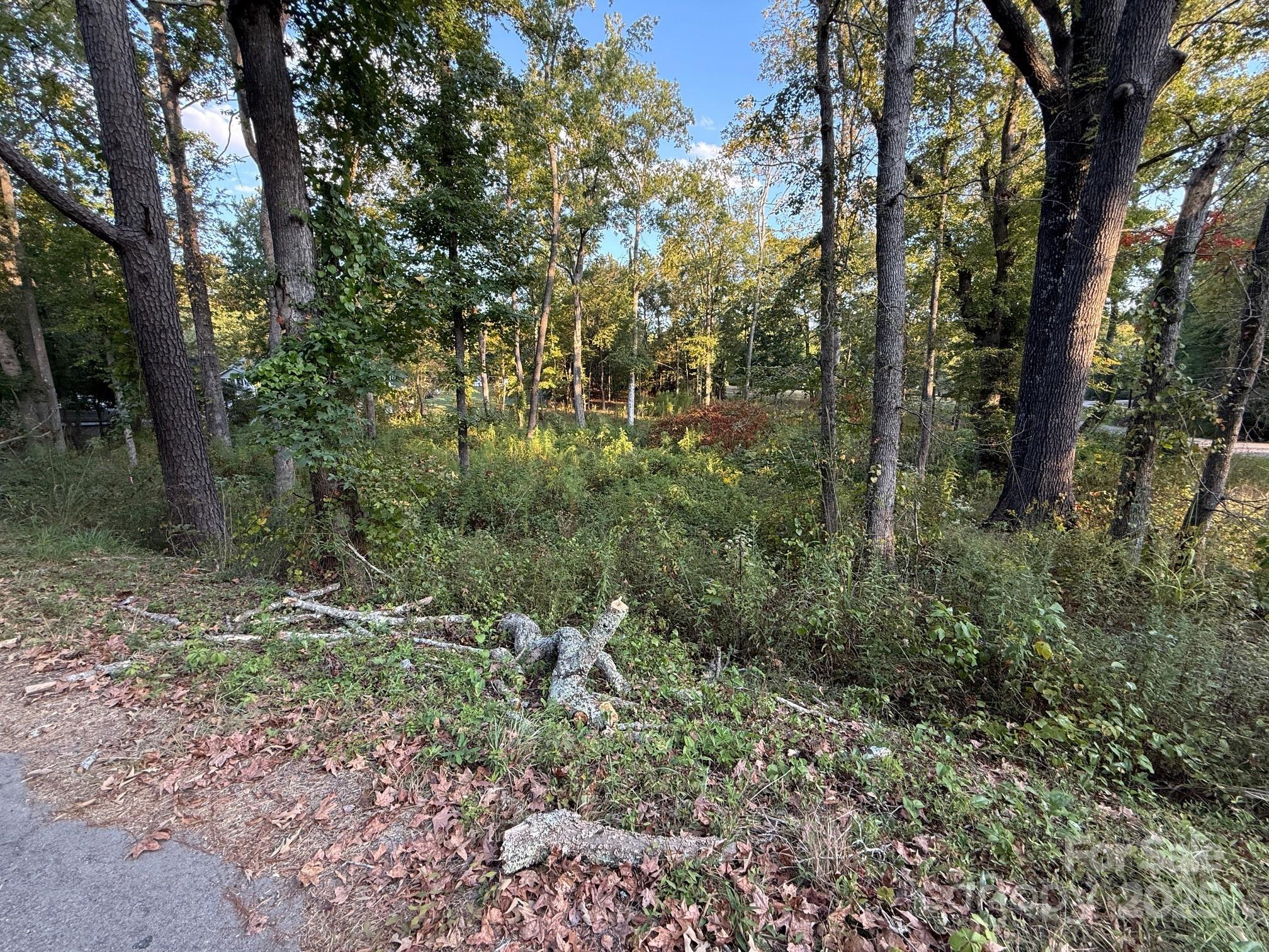 00 Whispering Pines Drive 31 Property Photo 8