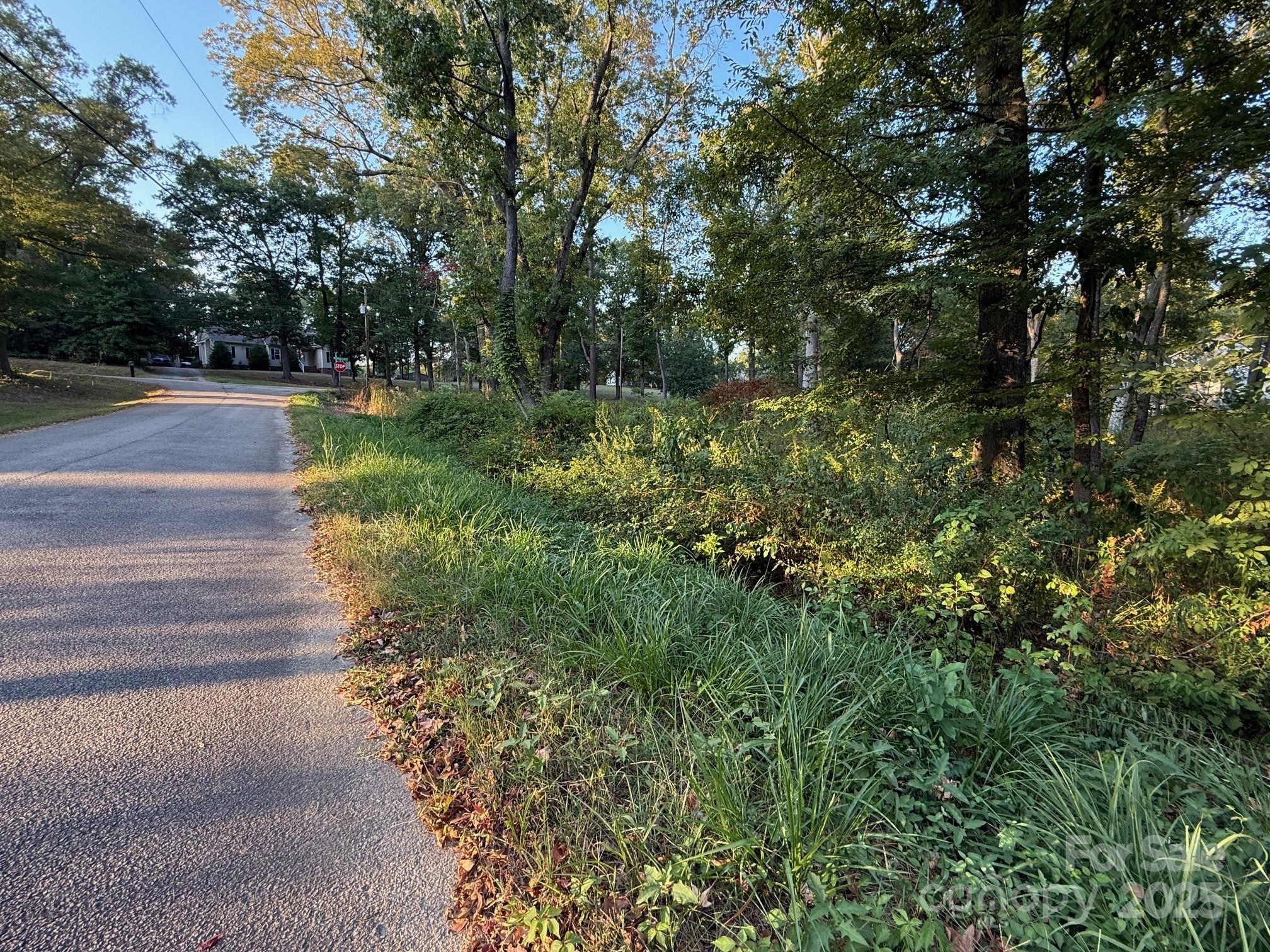 00 Whispering Pines Drive 31 Property Photo 9