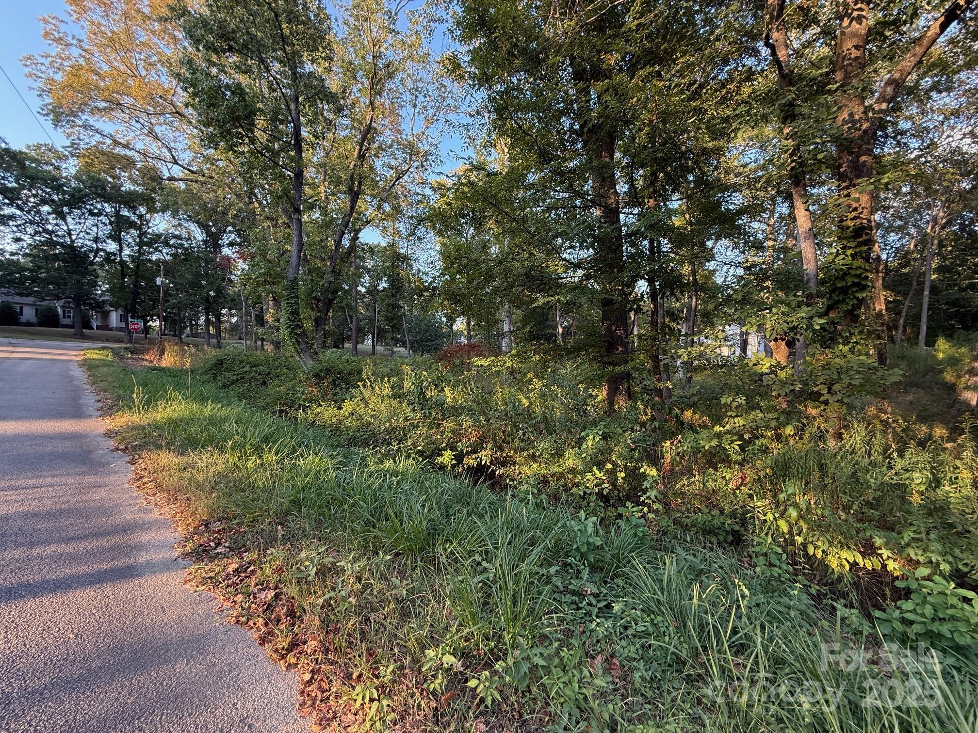 00 Whispering Pines Drive 31 Property Photo 10