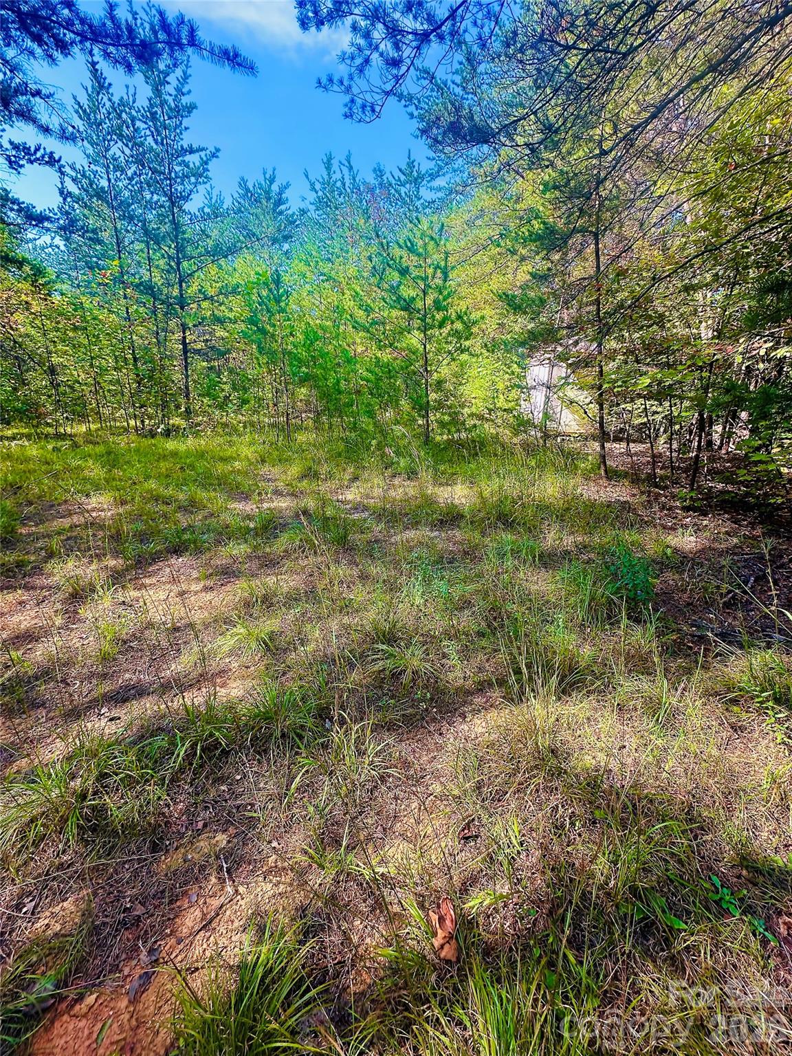 366 Boland Drive Property Photo 7