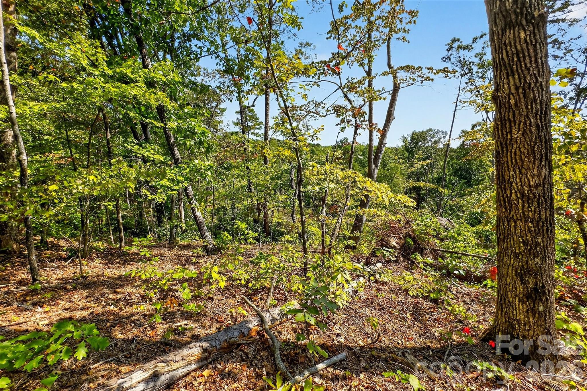 366 Boland Drive Property Photo 13