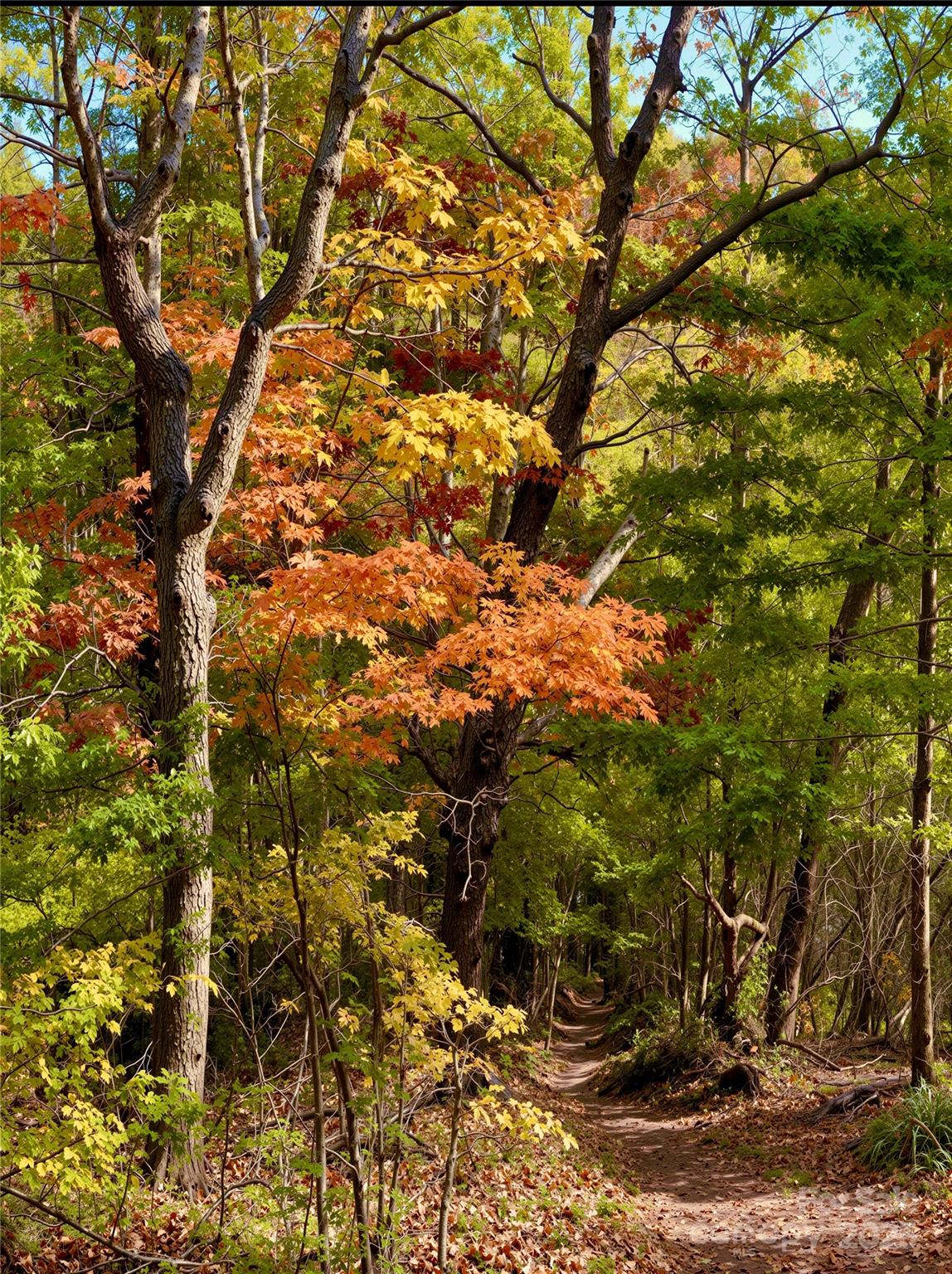 13 Spring Valley Way Property Photo 1