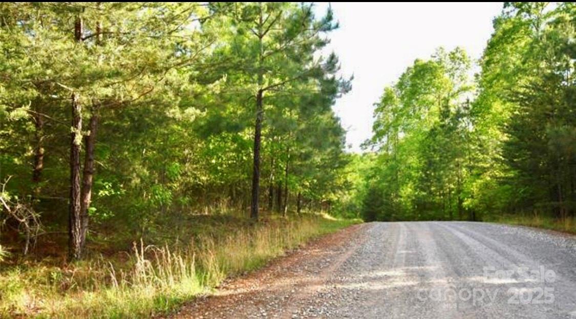 Tbd Darrow Drive Lot 90 Property Photo 3