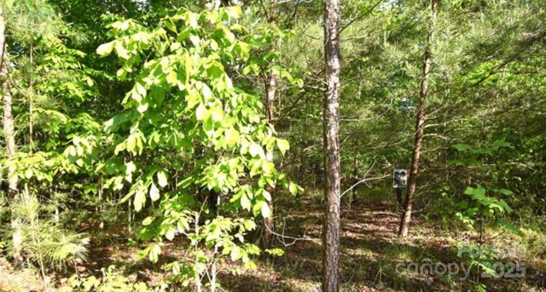 Tbd Darrow Drive Lot 90 Property Photo 4