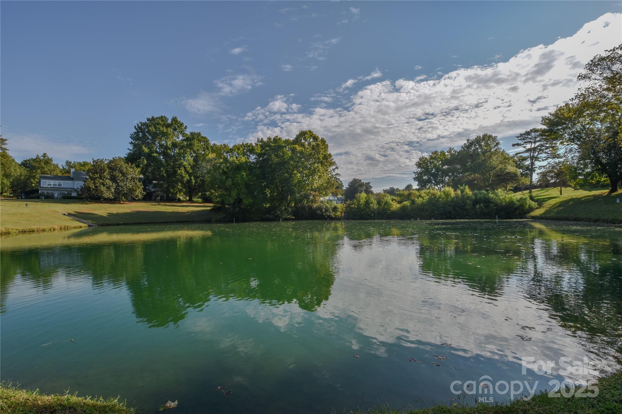 8333 Meadow Lakes Drive Property Photo 20