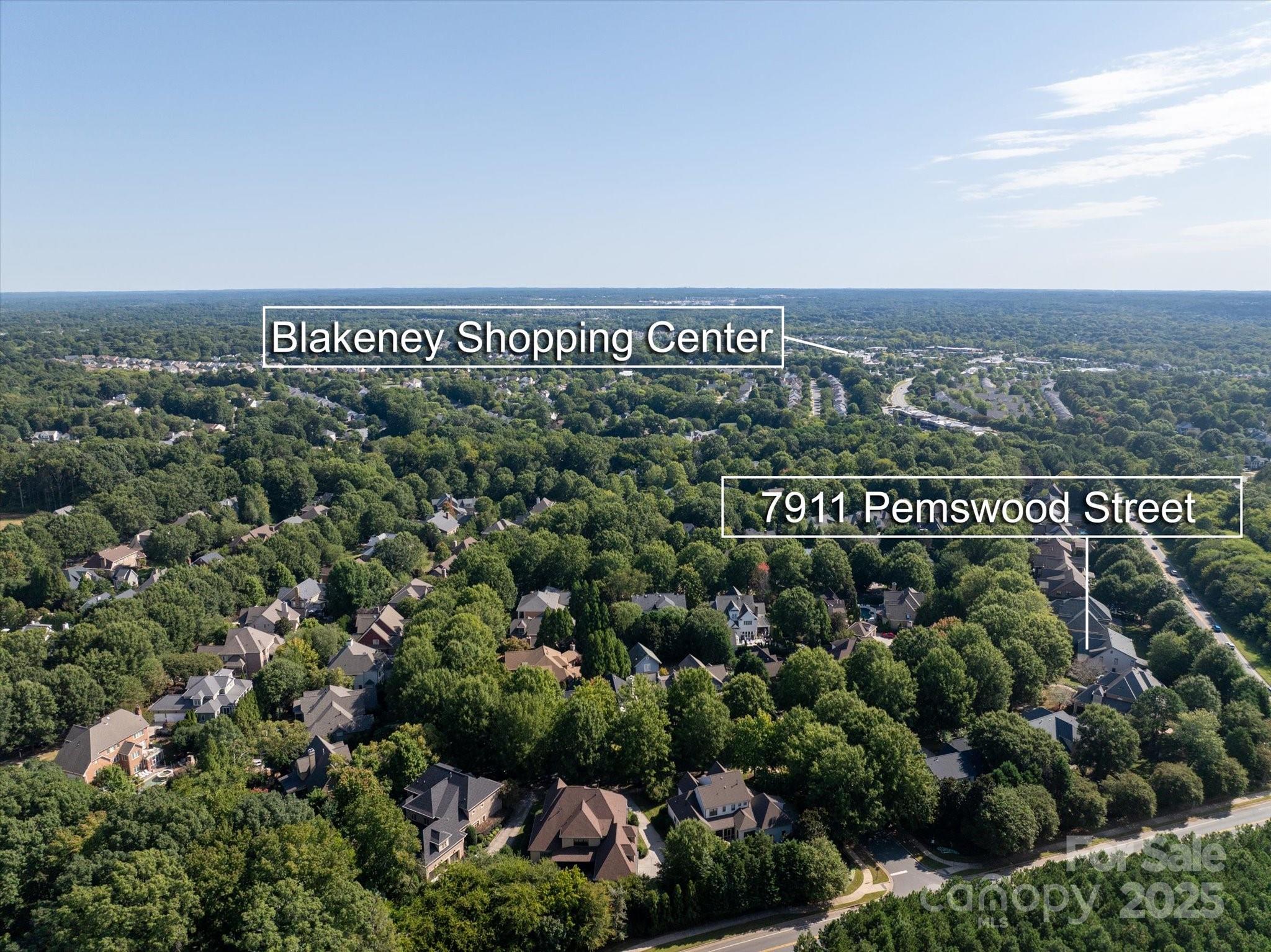 7911 Pemswood Street Property Photo 41