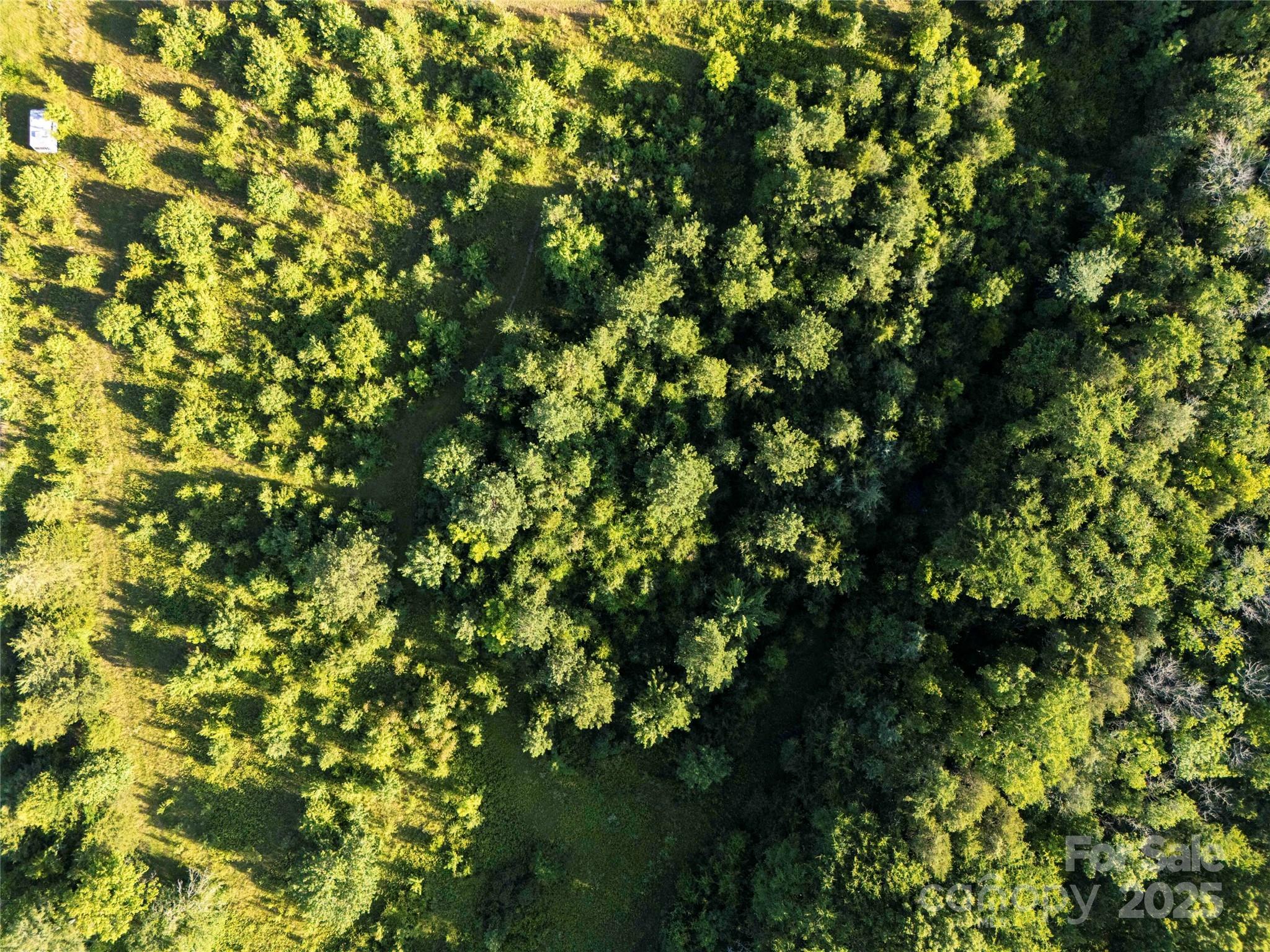 630 E Border Road Property Photo 10