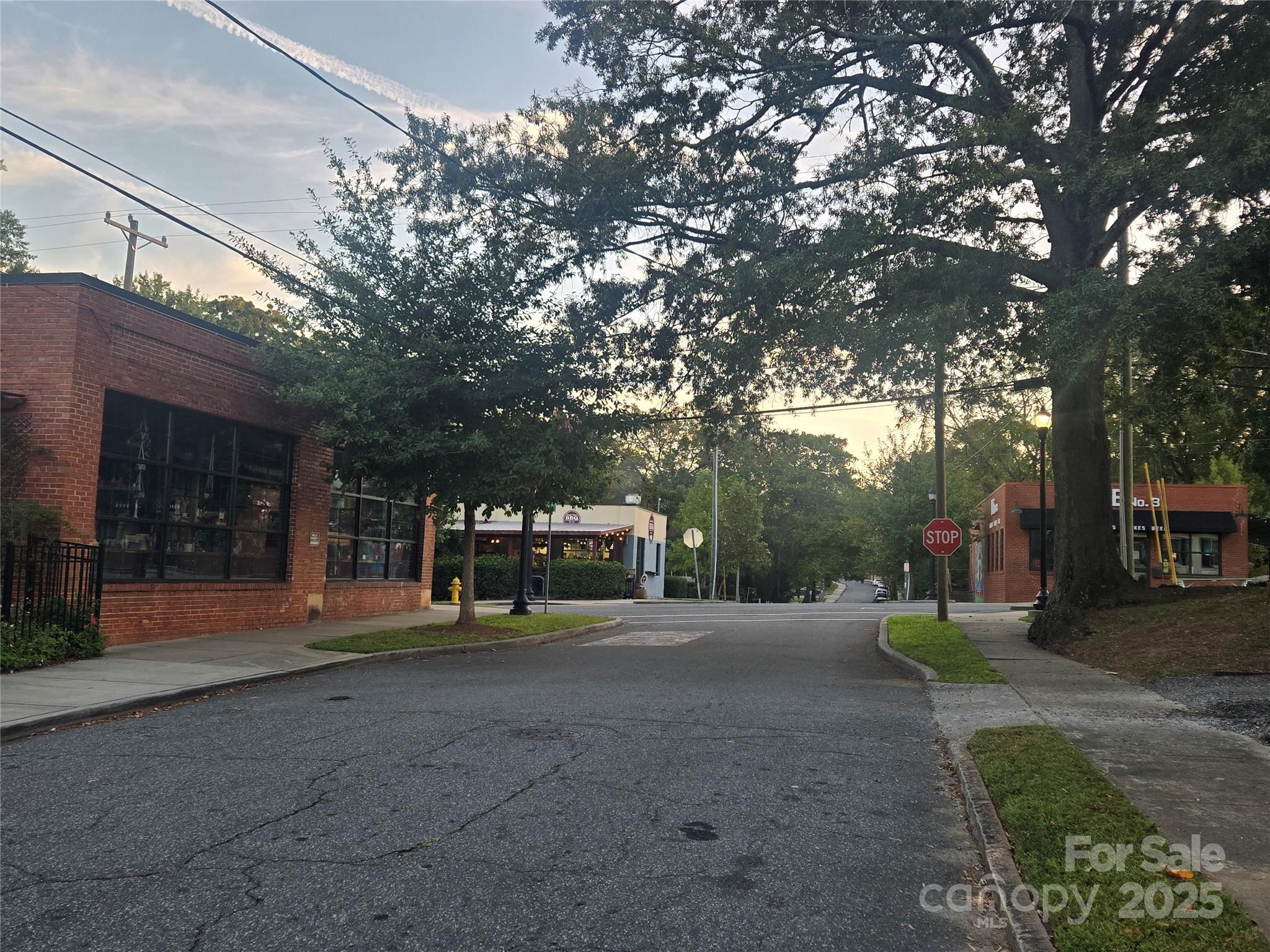 1015 Harrill Street Property Photo 2