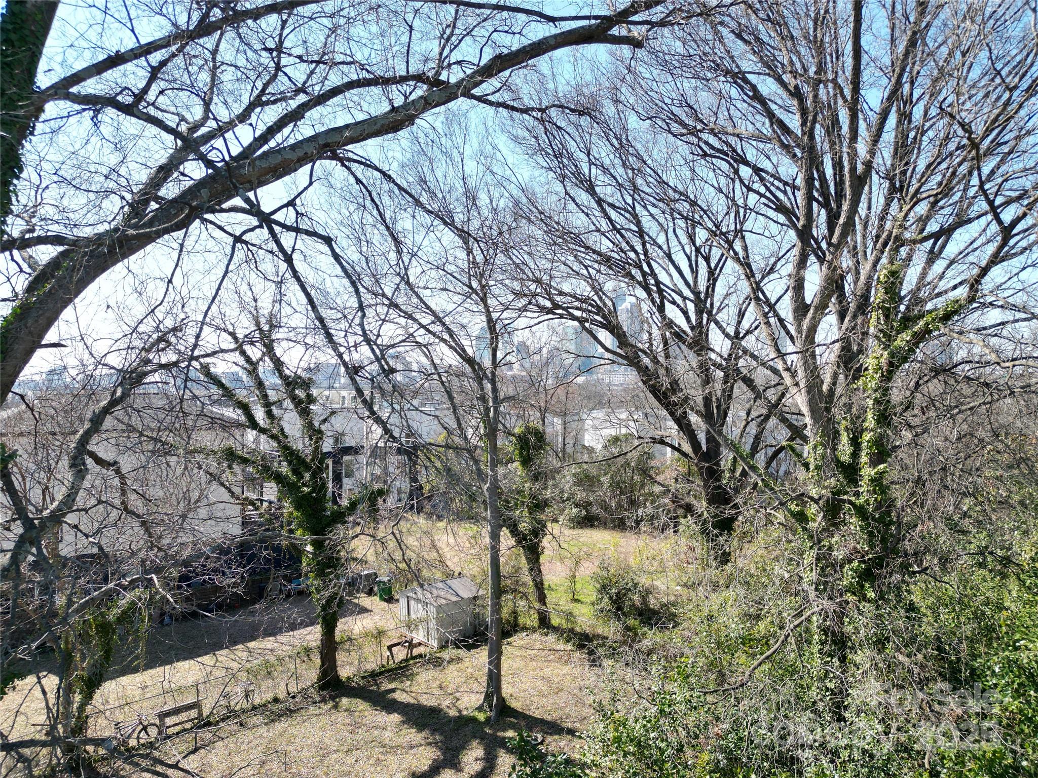 1015 Harrill Street Property Photo 3