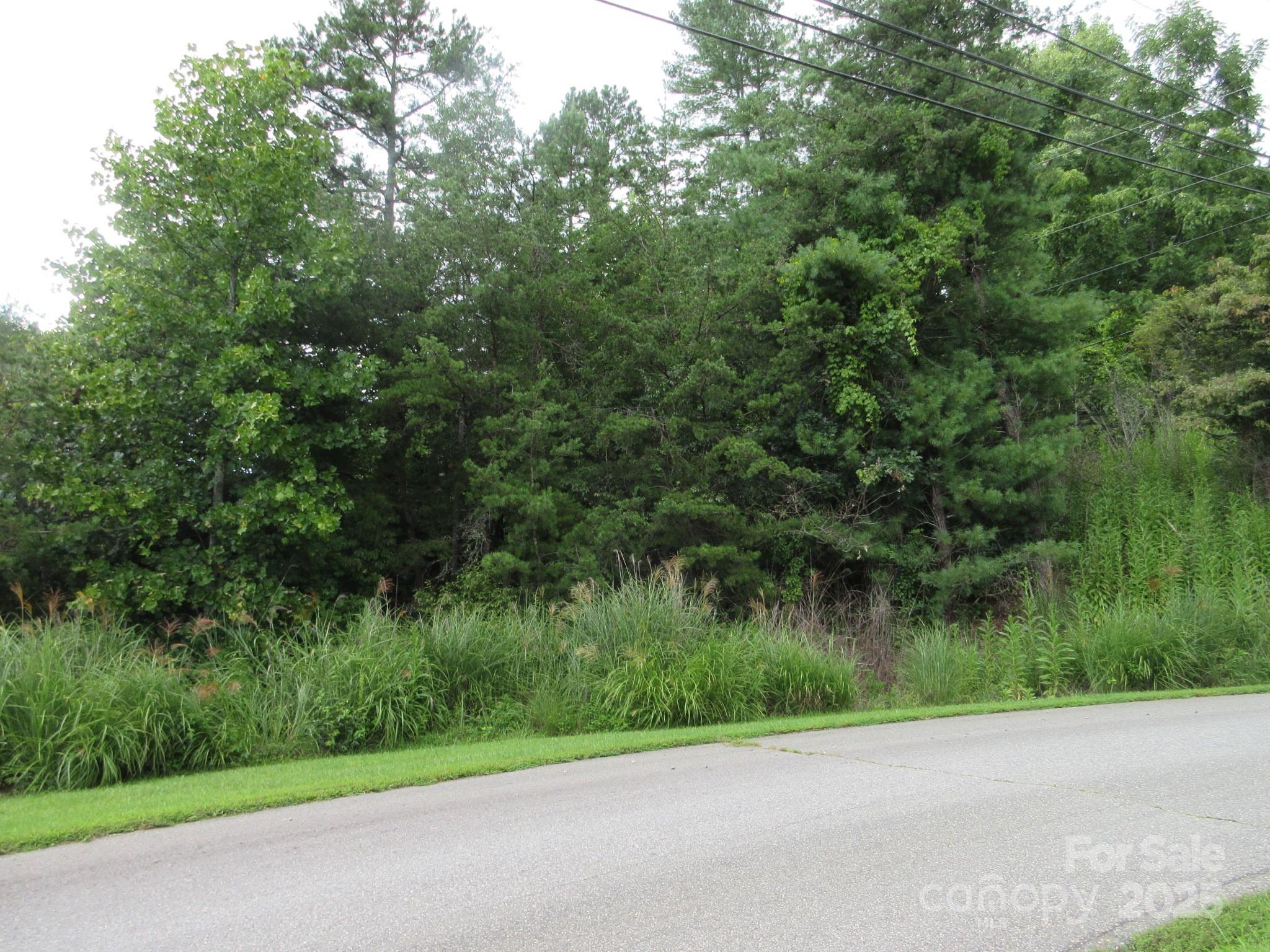 0 Old Burnsville Road Property Photo 1