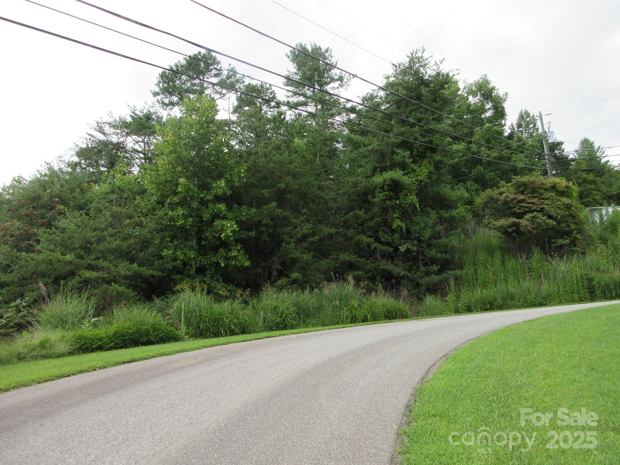 0 Old Burnsville Road Property Photo 2
