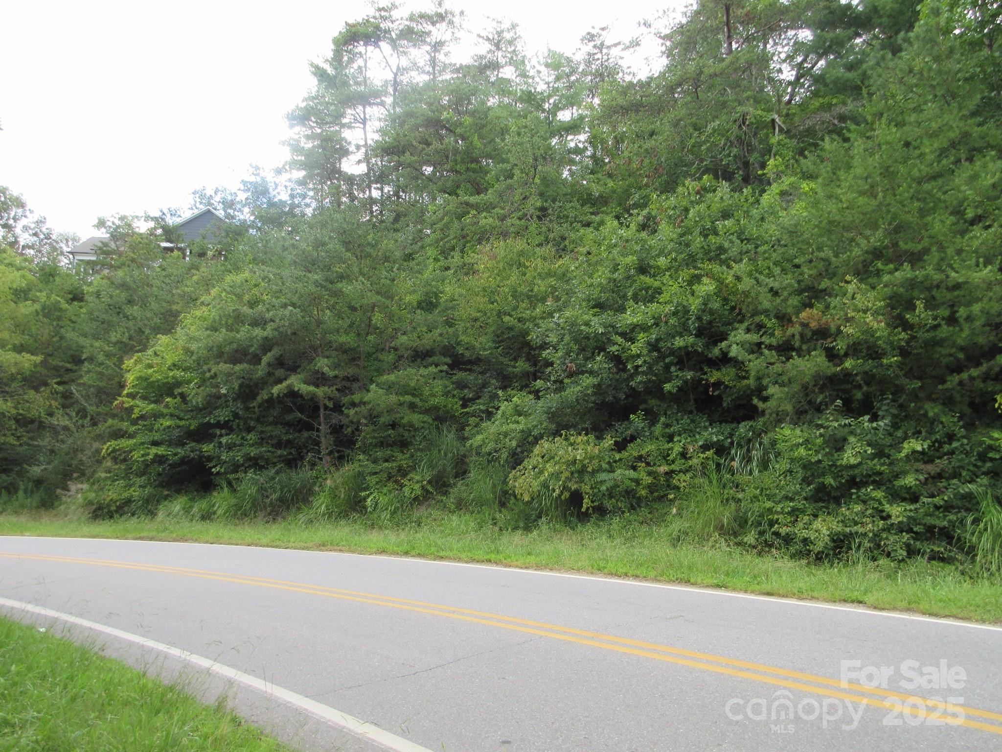 0 Old Burnsville Road Property Photo 4
