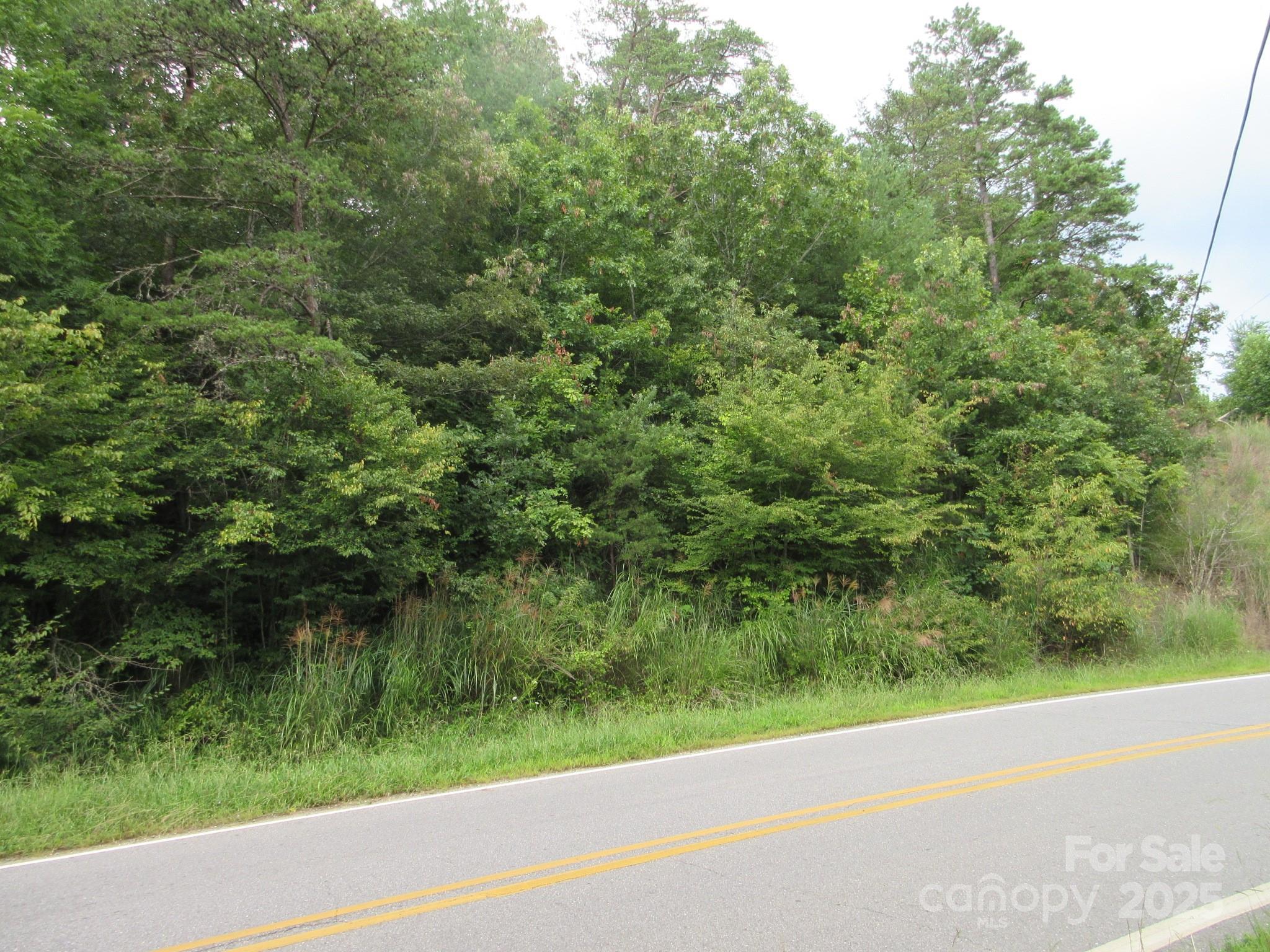 0 Old Burnsville Road Property Photo 5