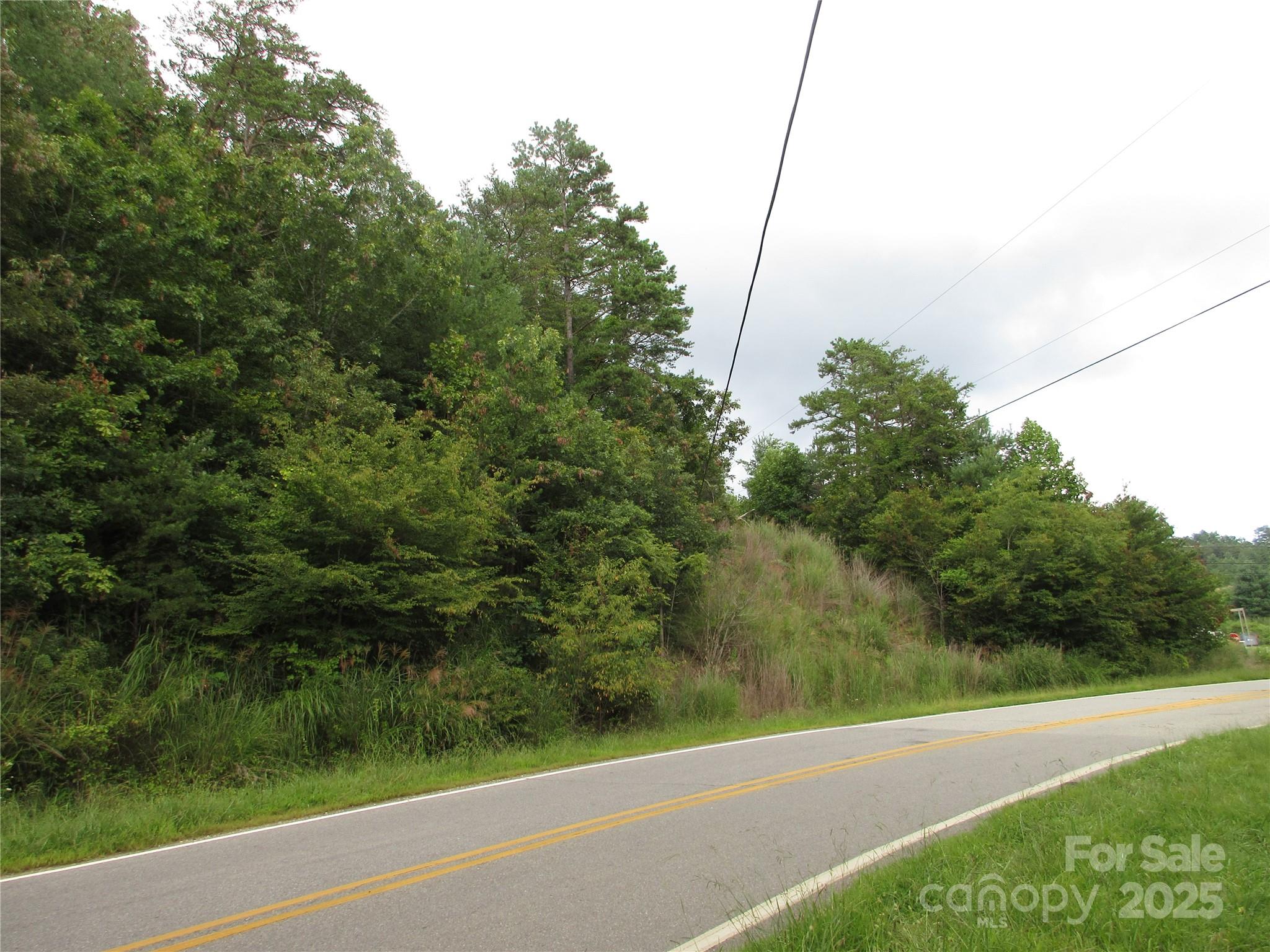 0 Old Burnsville Road Property Photo 6