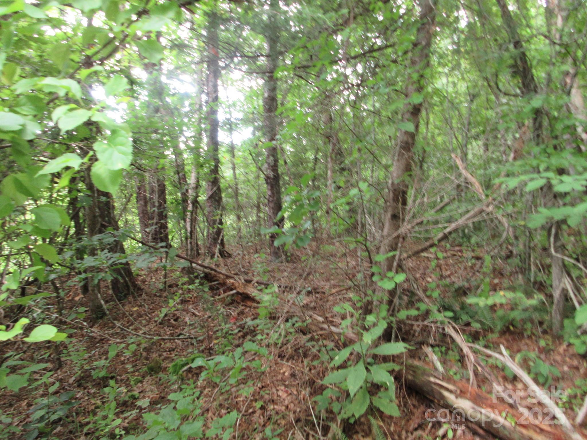 0 Old Burnsville Road Property Photo 7