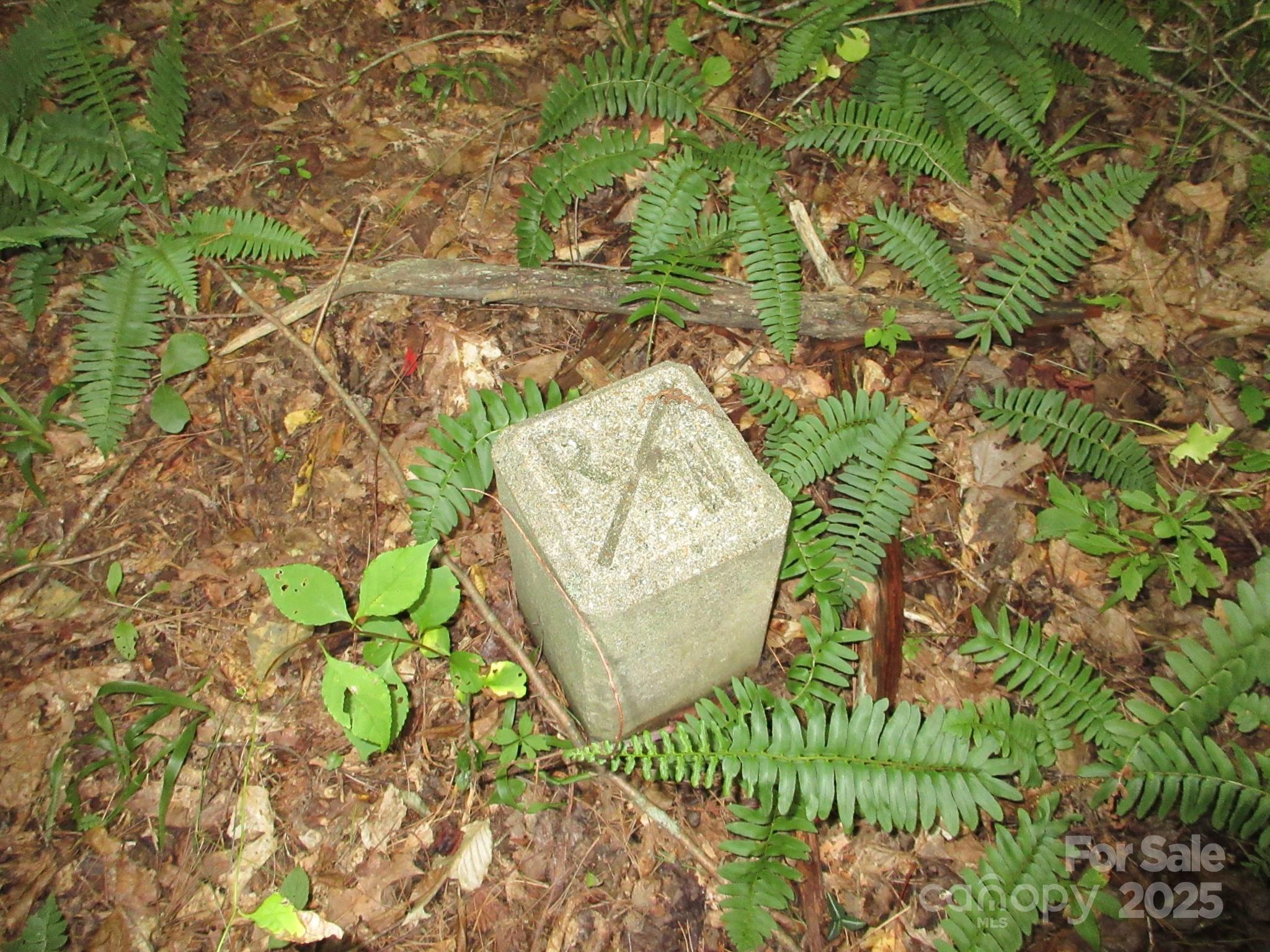 0 Old Burnsville Road Property Photo 9